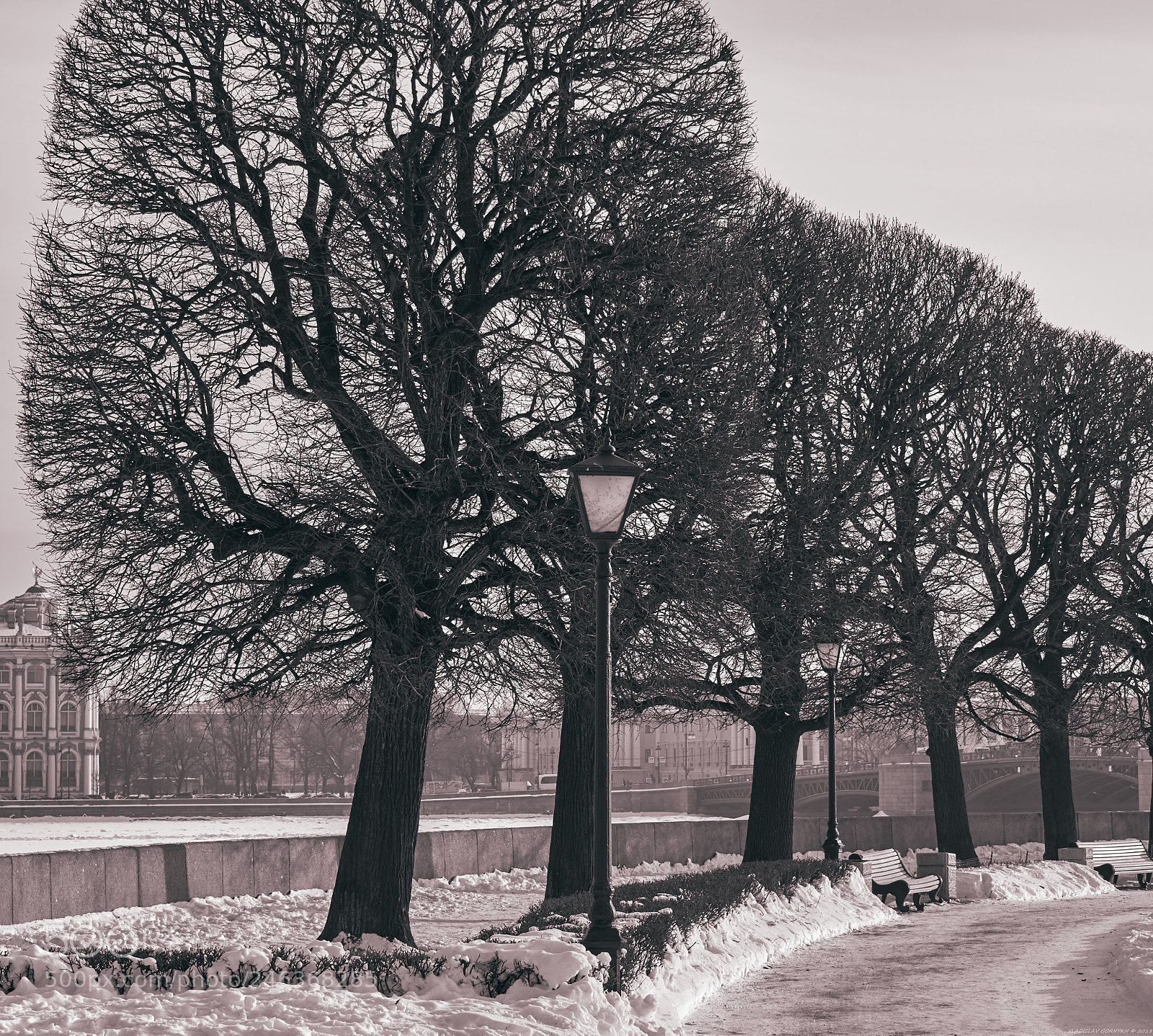 Nikon D810 sample photo. City photography