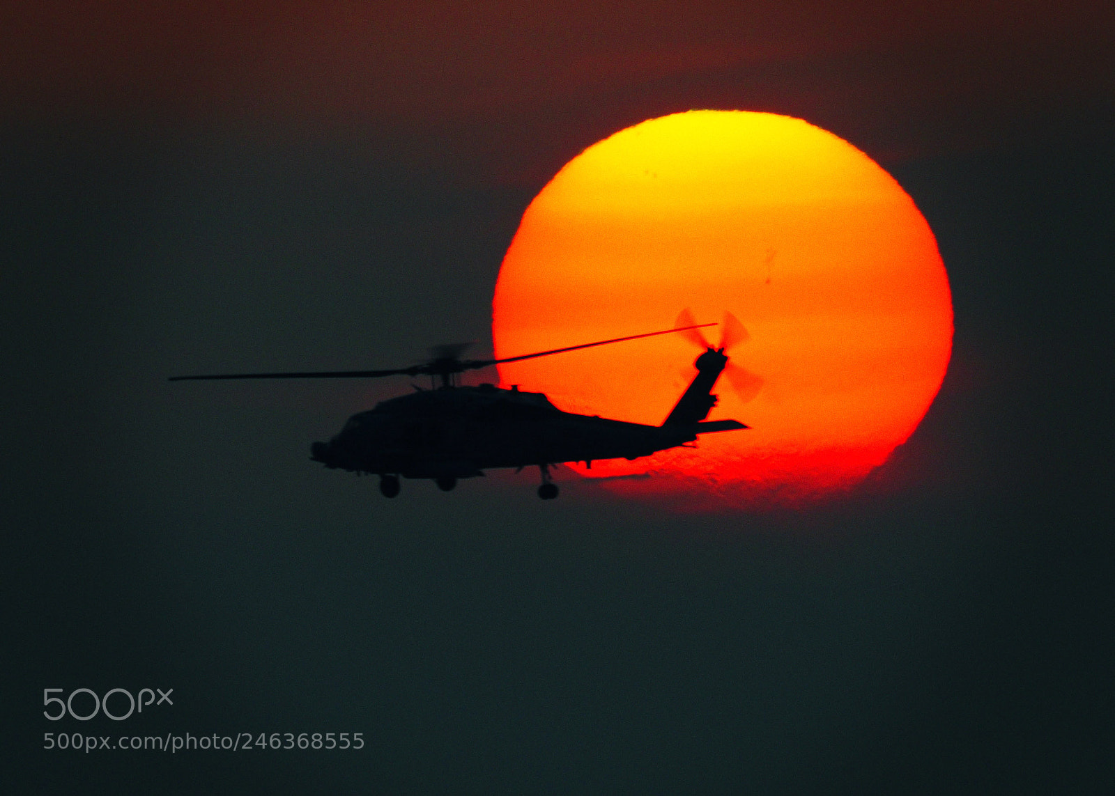Nikon D300 sample photo. Seahawk sunset photography