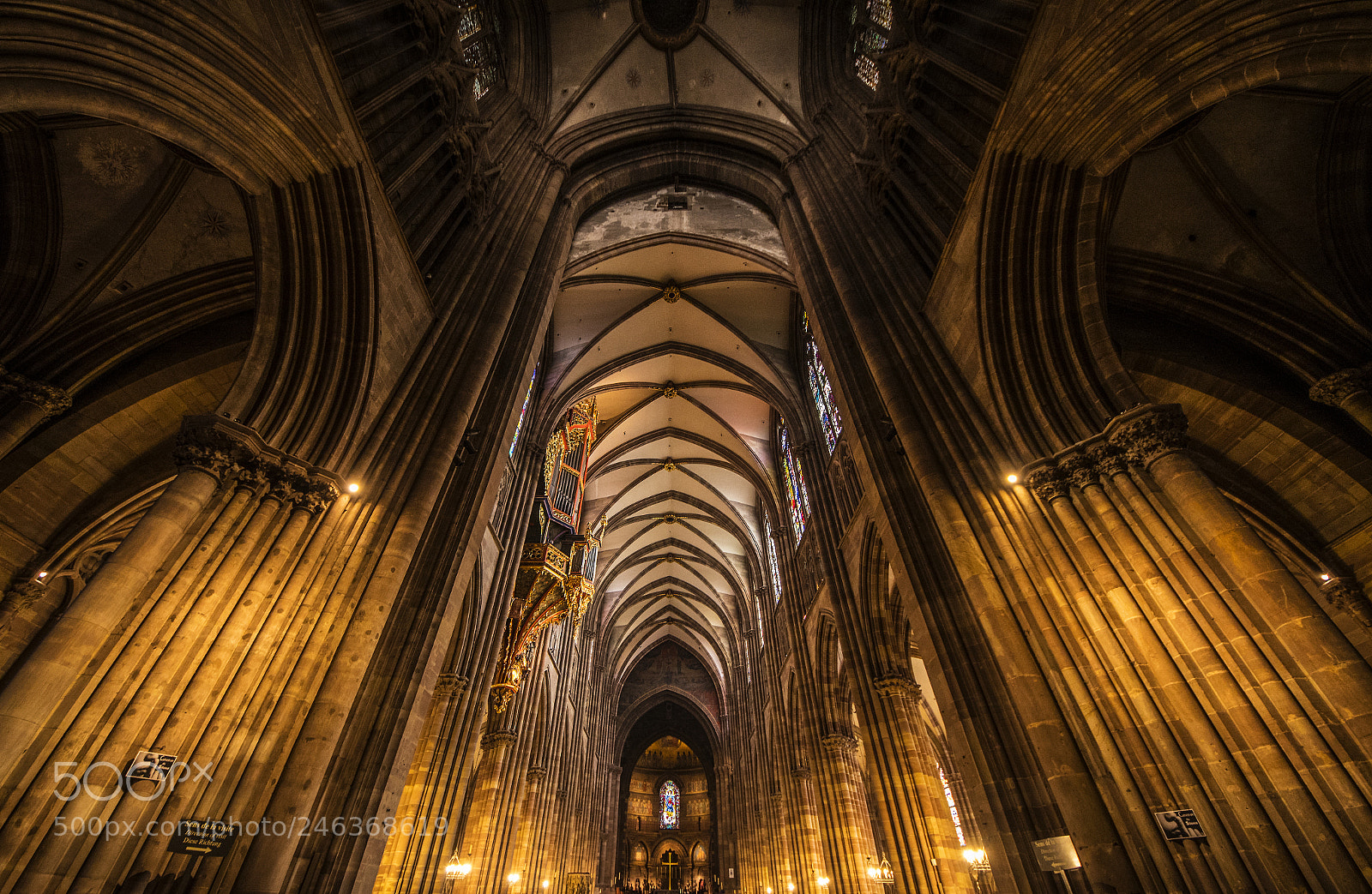 Nikon D500 sample photo. Inside the cathedral photography