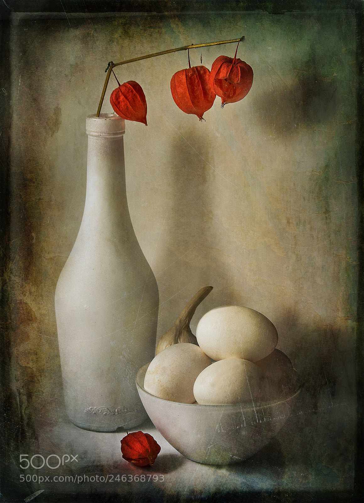 Sony SLT-A37 sample photo. Still life with physalis. photography