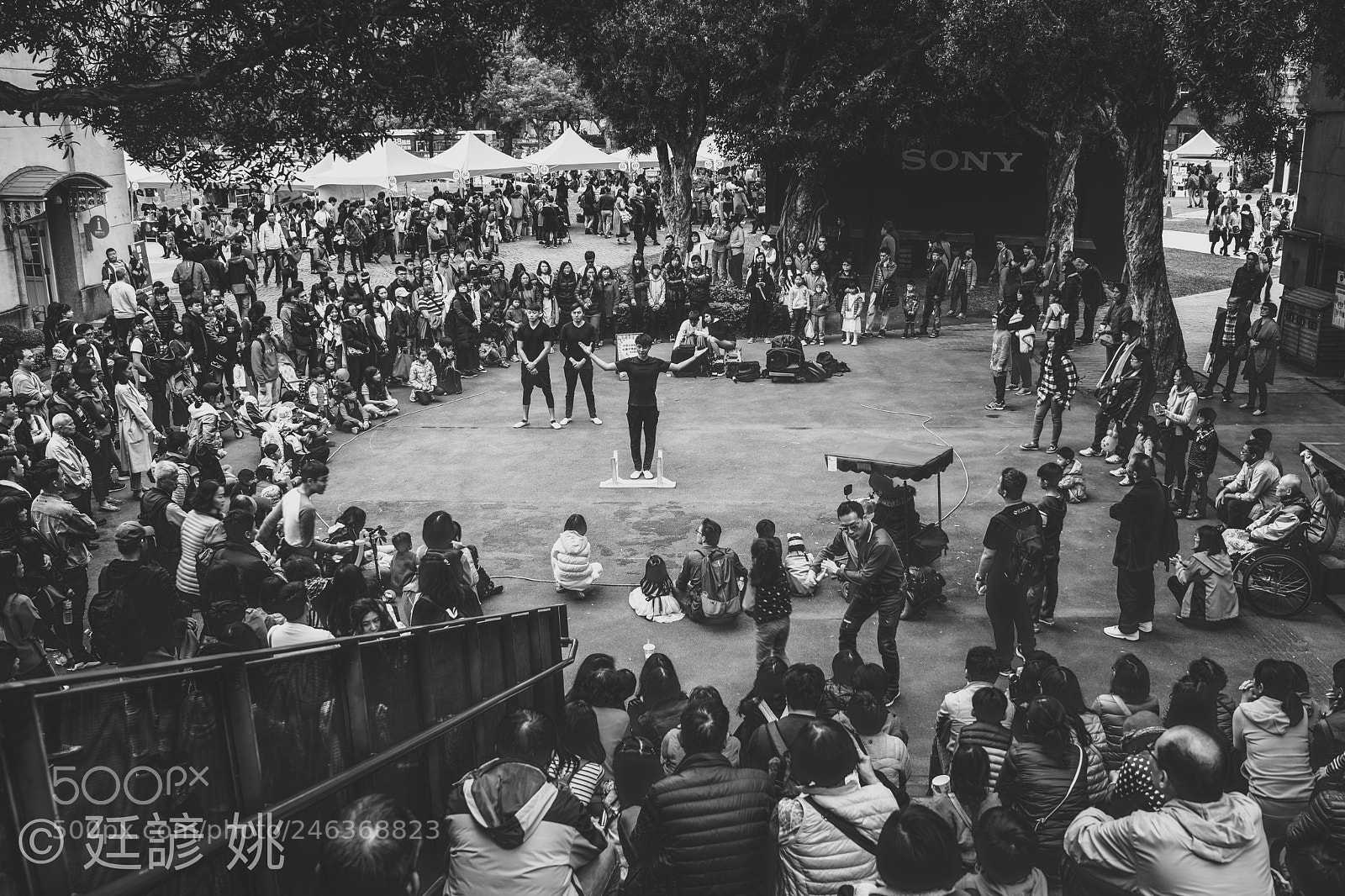 Sony a7R III sample photo. Untitled photography