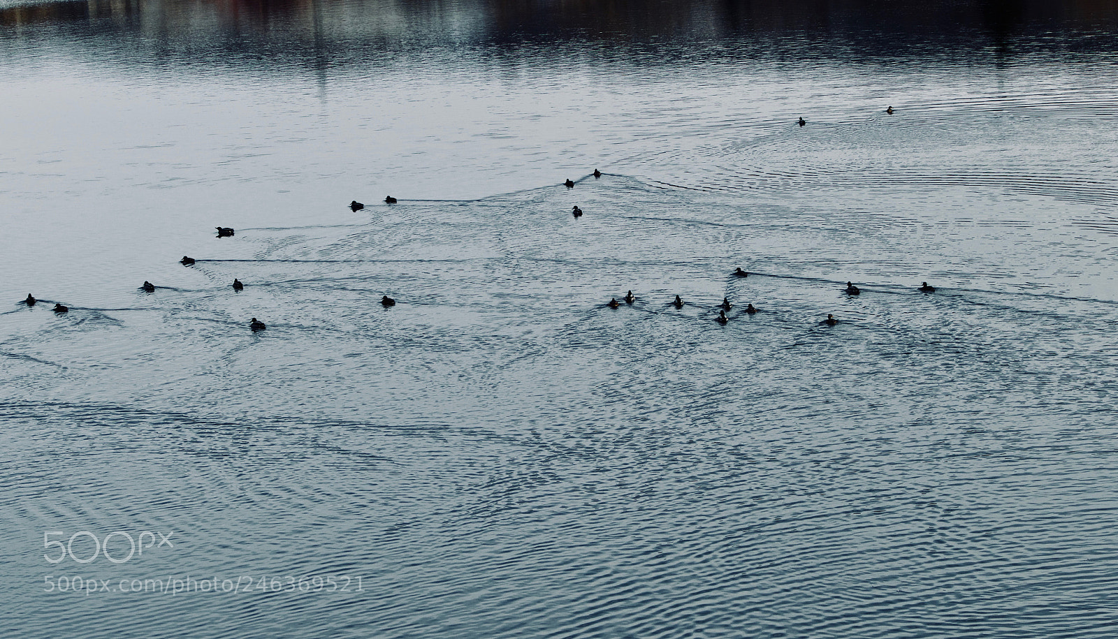 Leica V-Lux (Typ 114) sample photo. Painting on water photography
