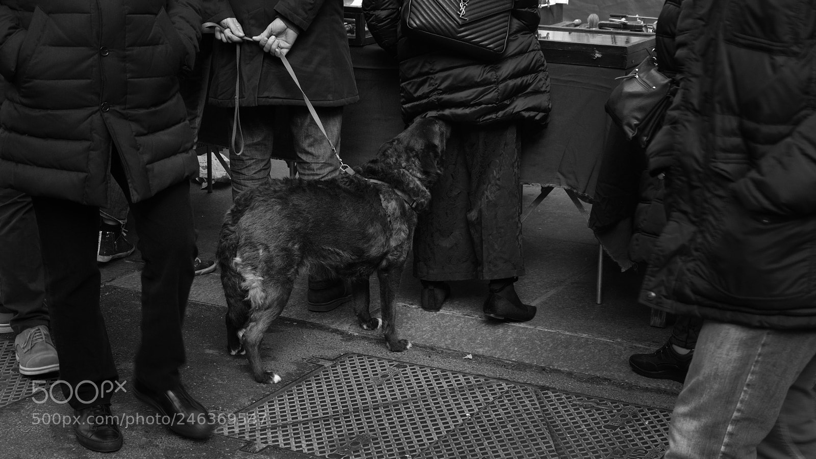 Fujifilm X-T20 sample photo. Gran balon - torino photography