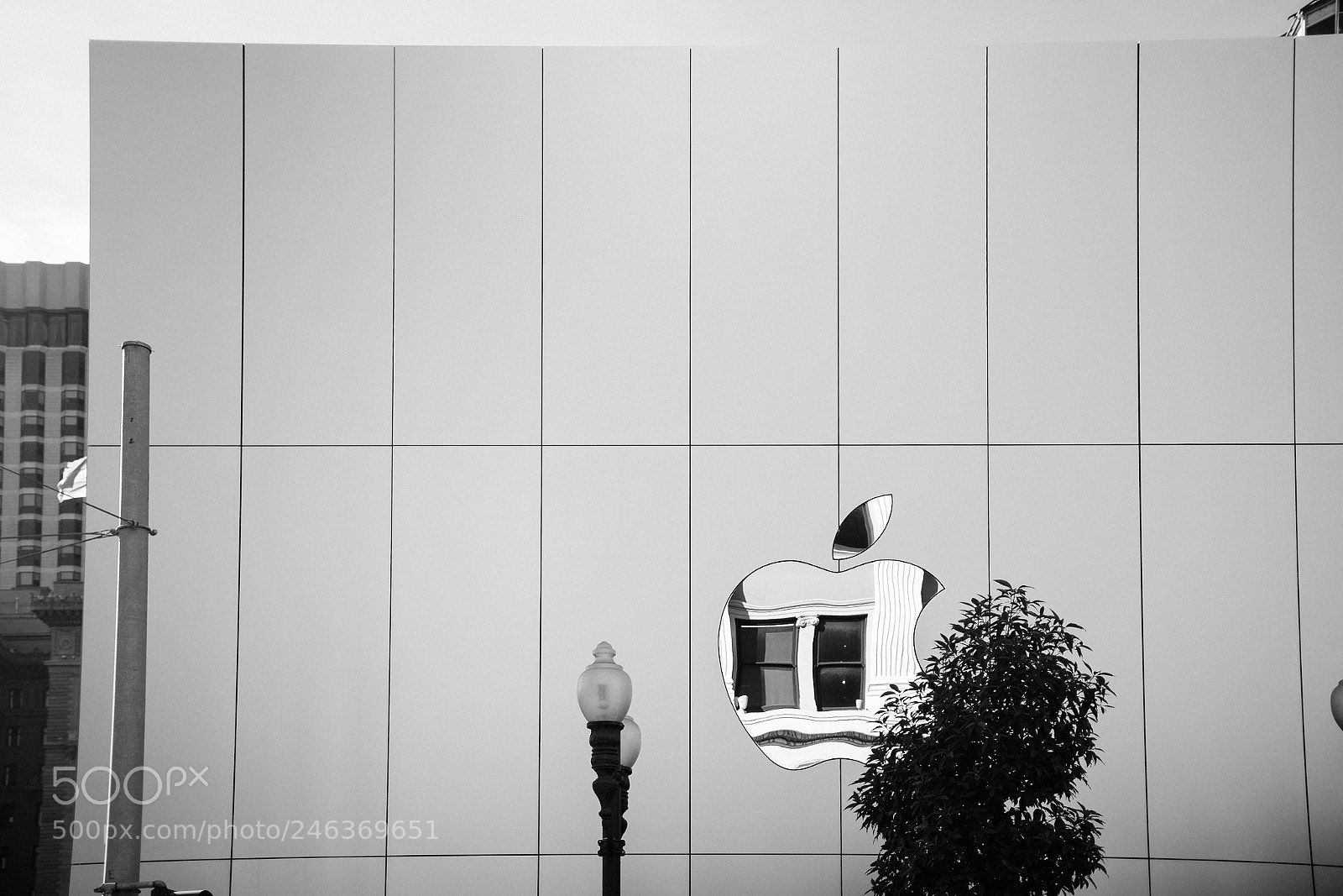 Fujifilm X100F sample photo. Untitled photography