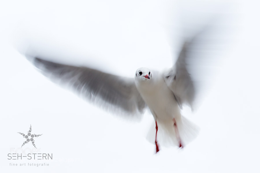 Canon EOS-1D X sample photo. Motion blur photography