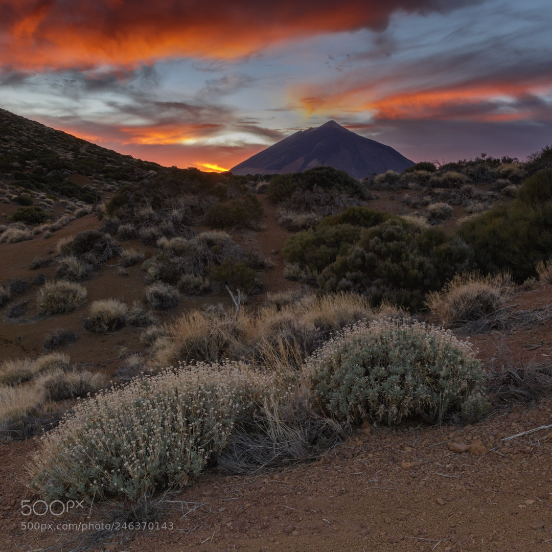 Canon EOS 7D Mark II sample photo. Sunset in the desert photography