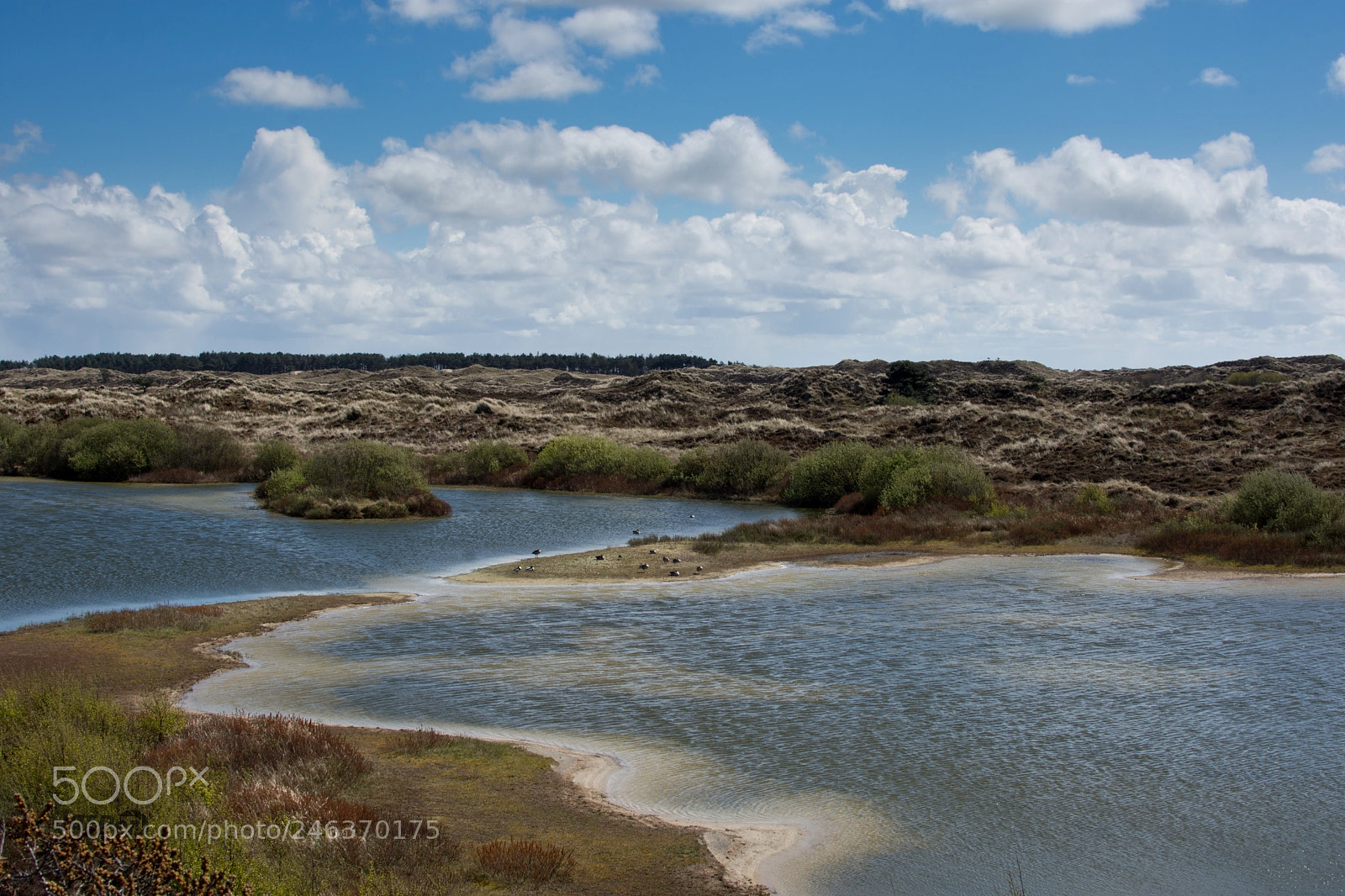 Nikon D7200 sample photo. Windy photography