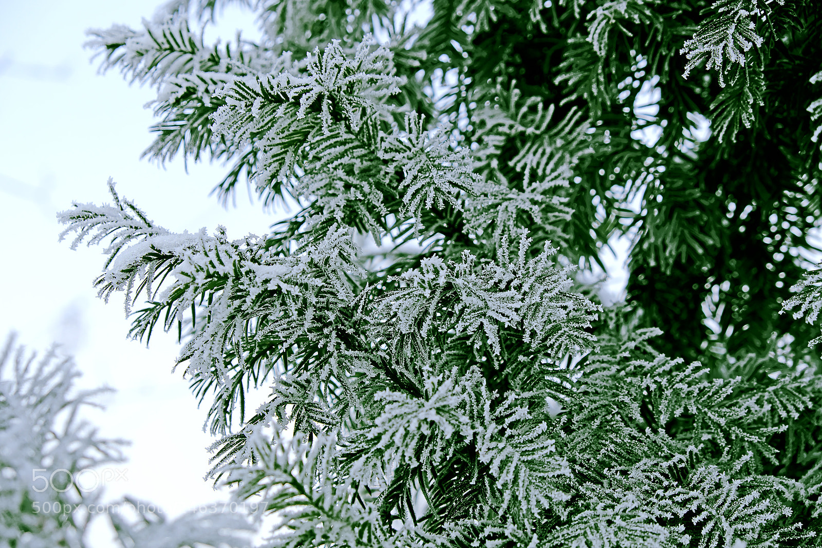 Fujifilm X-T20 sample photo. Snow patterns on the photography