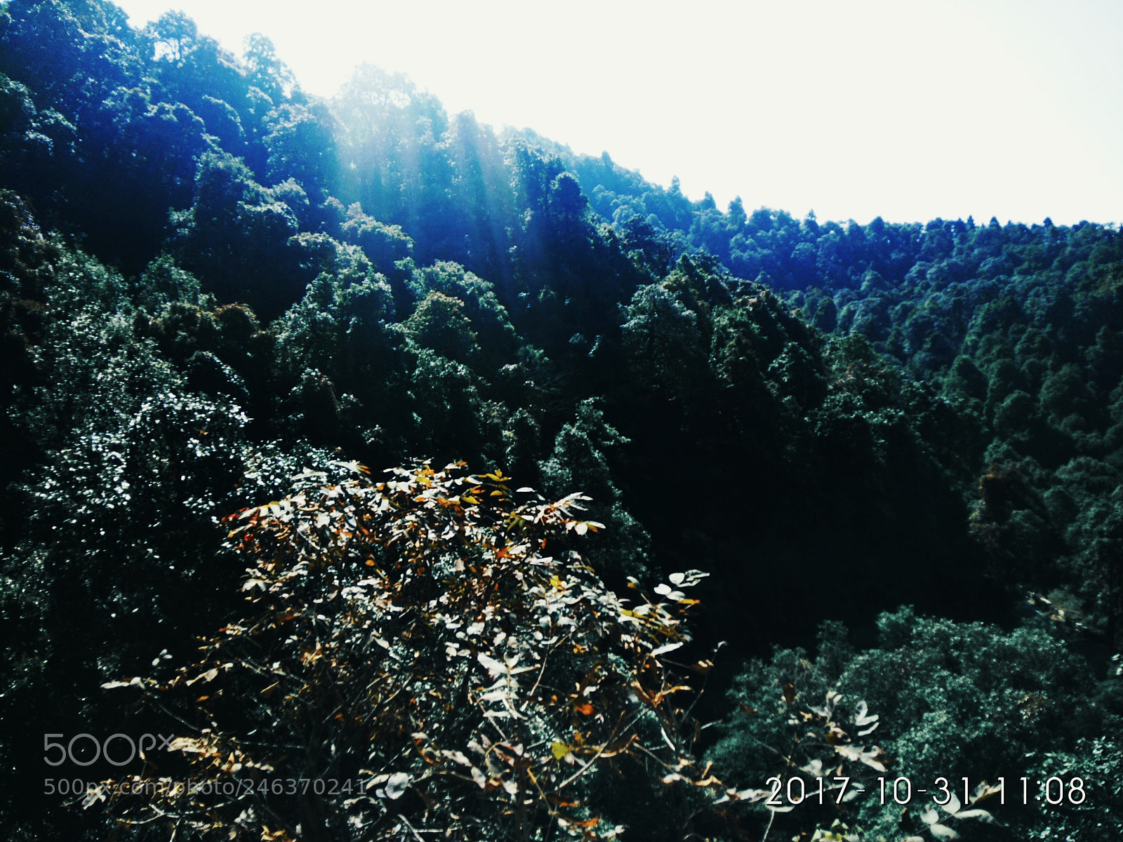 Xiaomi Redmi Note 4 sample photo. Untitled photography