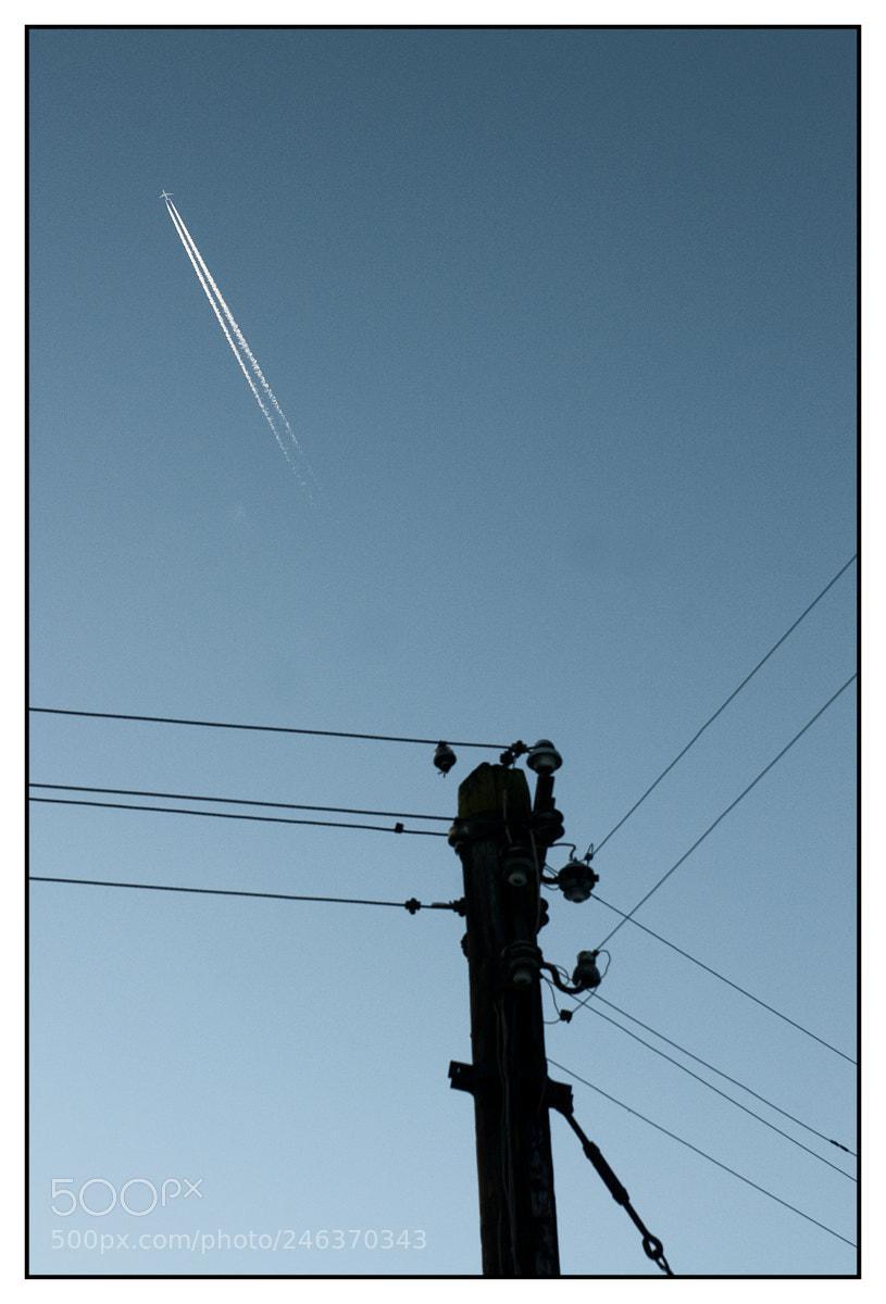 Nikon D300 sample photo. Analogy photography