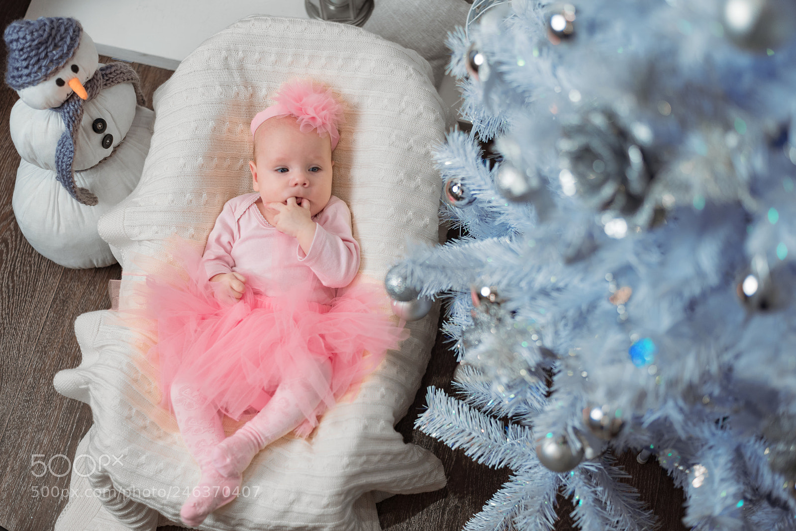 Nikon D610 sample photo. *** photography