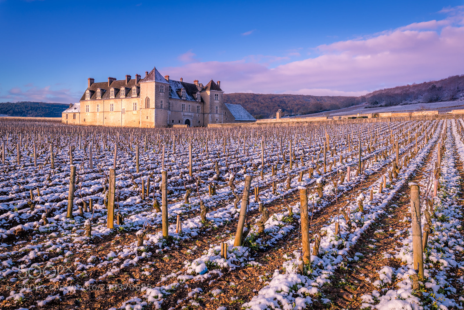 Nikon D850 sample photo. Ch teau du clos photography