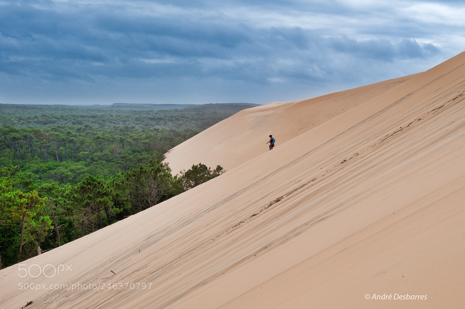 Nikon D3 sample photo. Dune du pilat photography