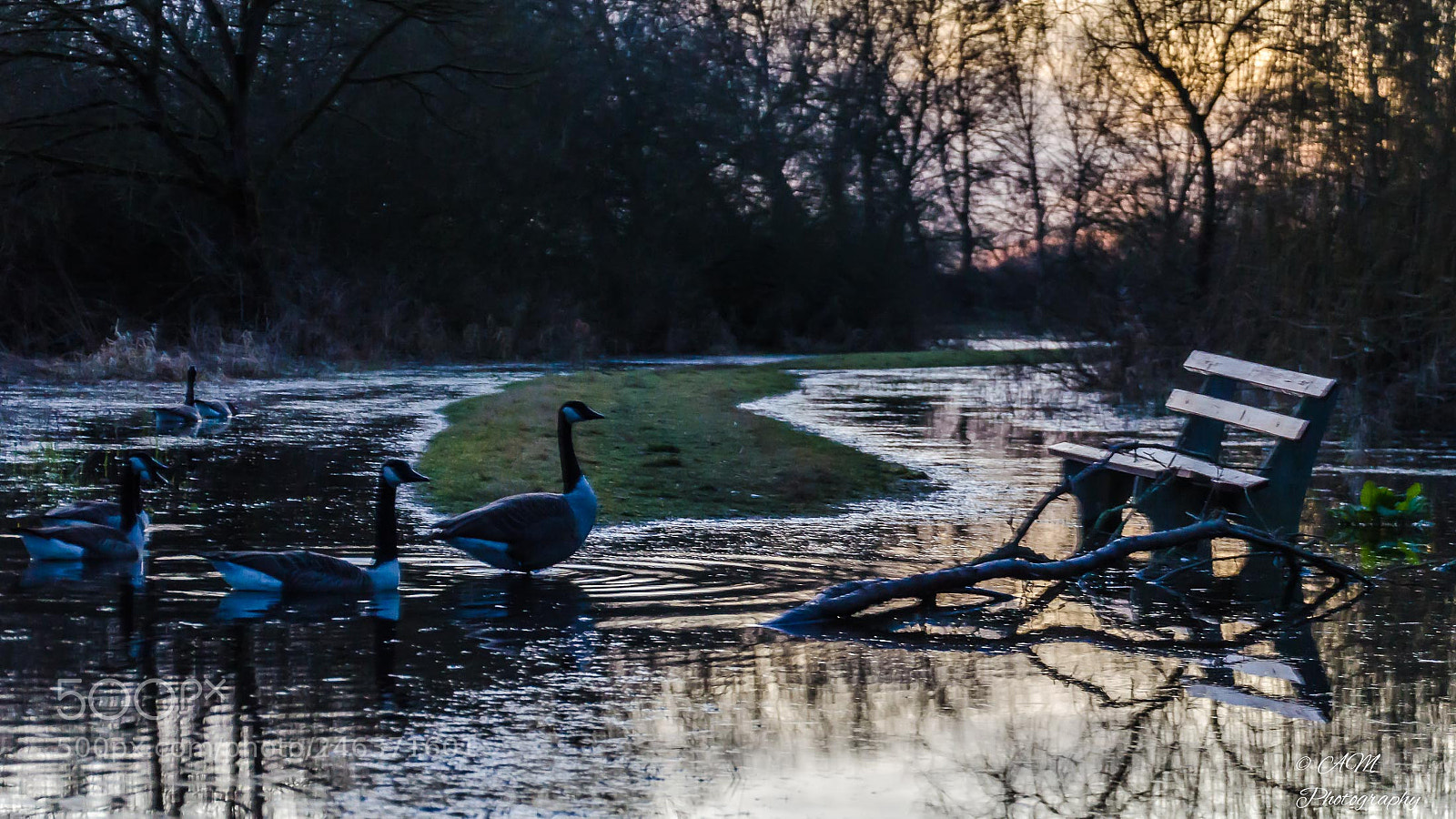 Nikon D5100 sample photo. Hochwasser am see photography