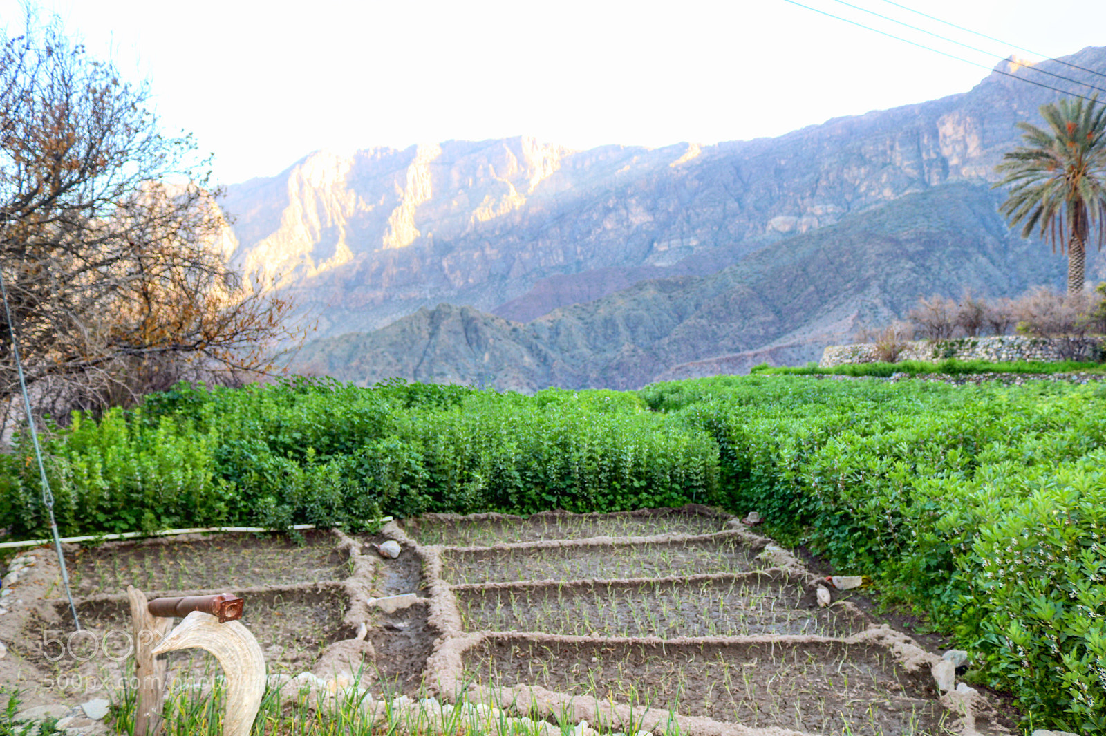 Canon EOS 750D (EOS Rebel T6i / EOS Kiss X8i) sample photo. The simpler life photography