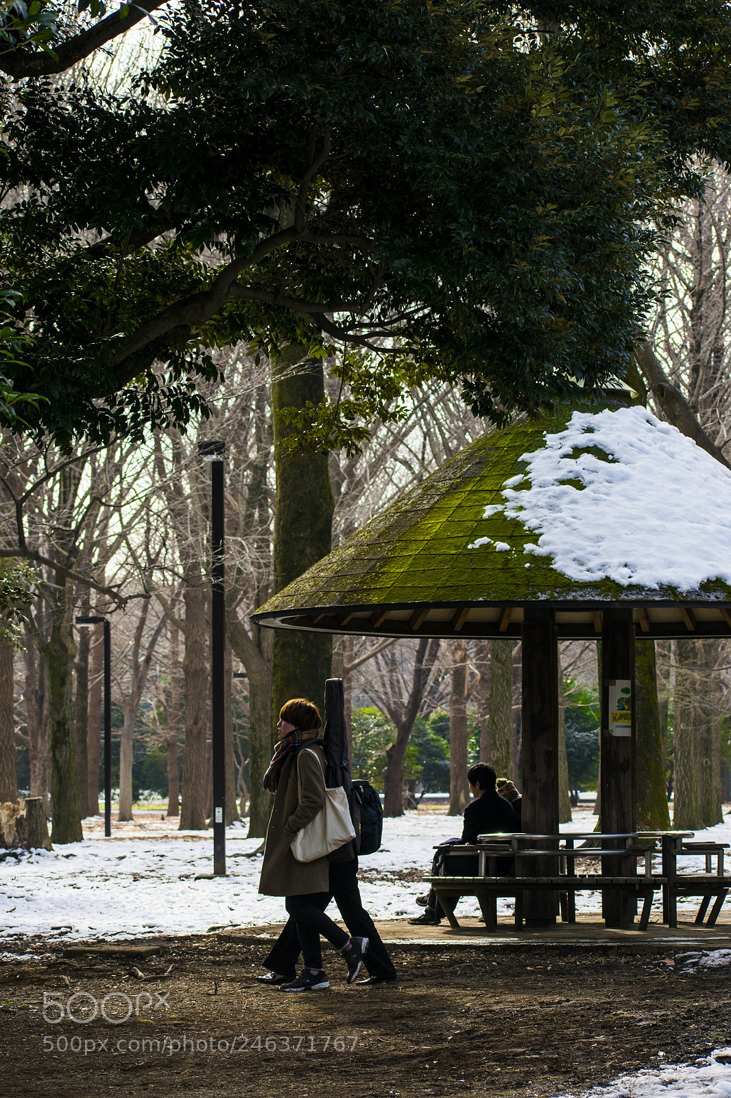 Nikon D3400 sample photo. Carefree  photography