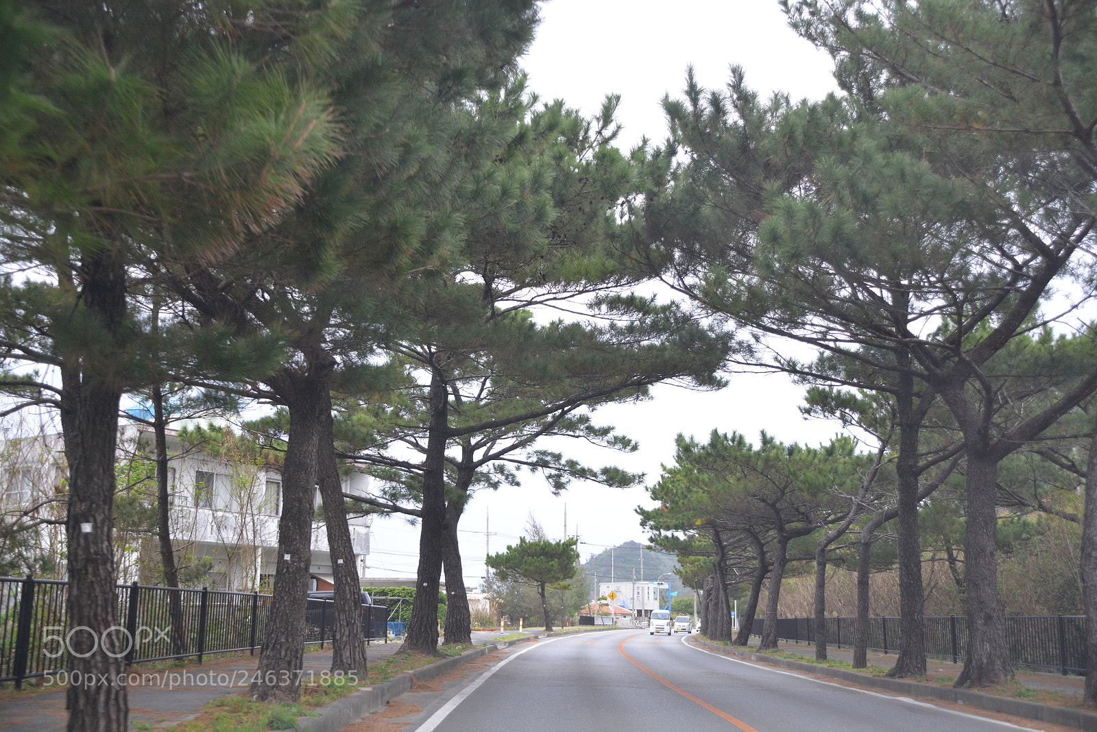 Nikon D5200 sample photo. Dsc photography