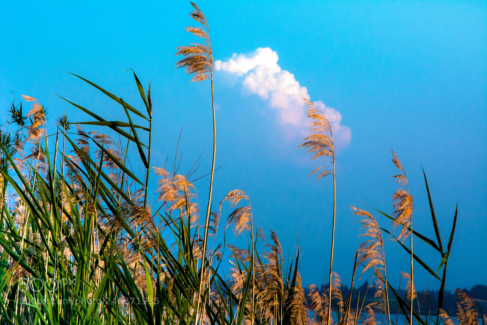 Nikon D7100 sample photo. Env cloud-scraper photography