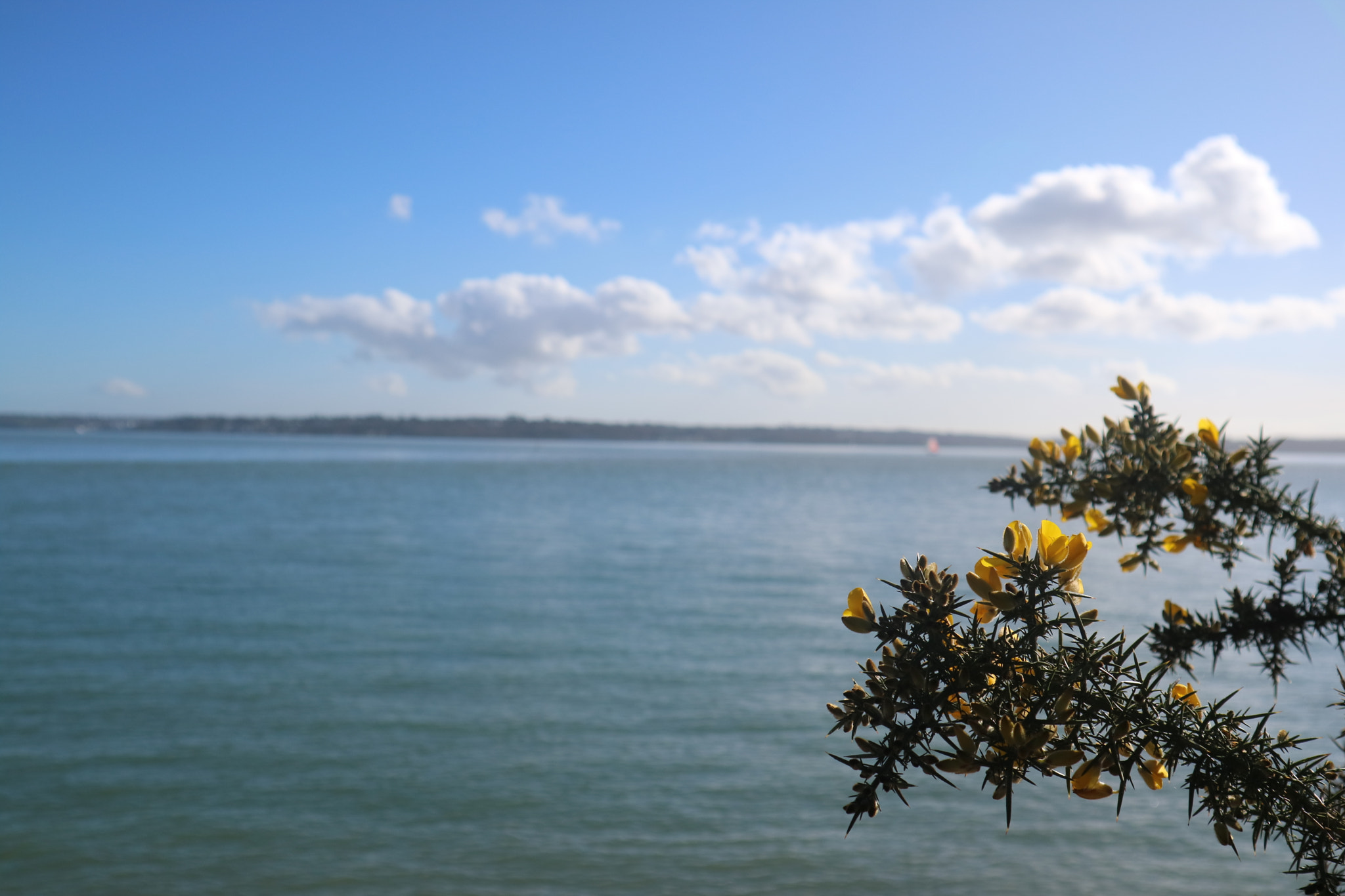 Canon EOS M3 sample photo. Water over the horizon photography