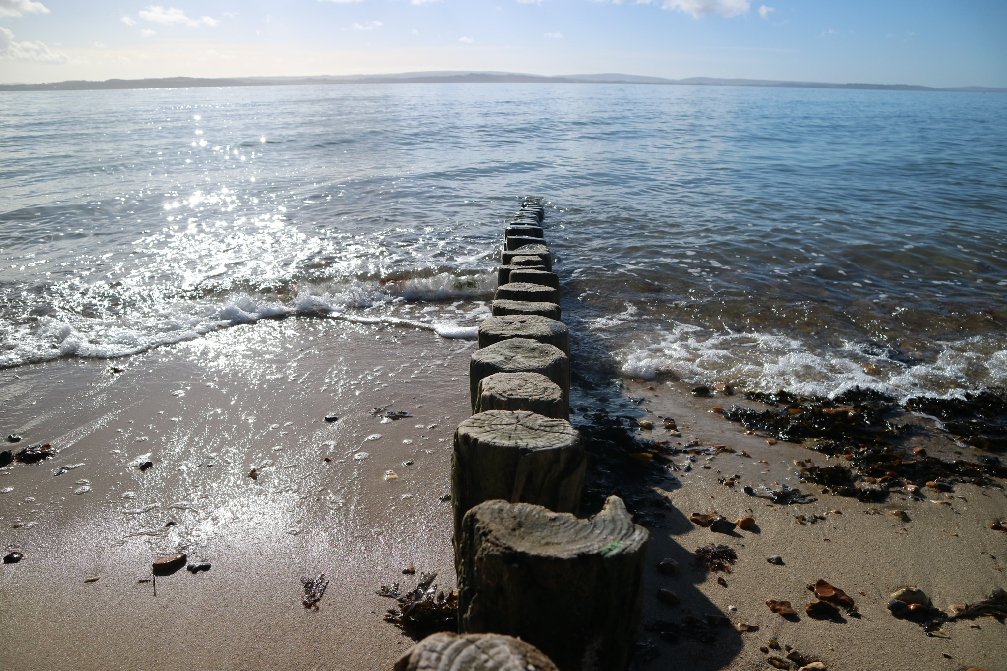 Canon EOS M3 sample photo. Logs on the beach photography