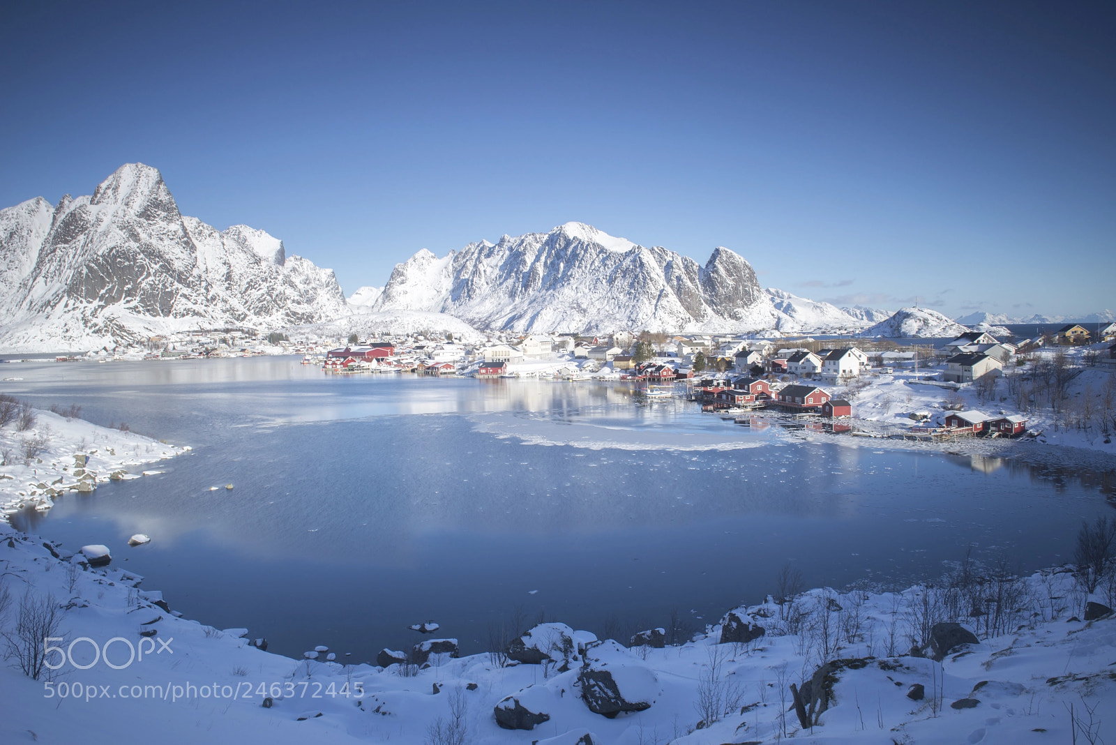 Nikon D800 sample photo. Winter wonderland photography