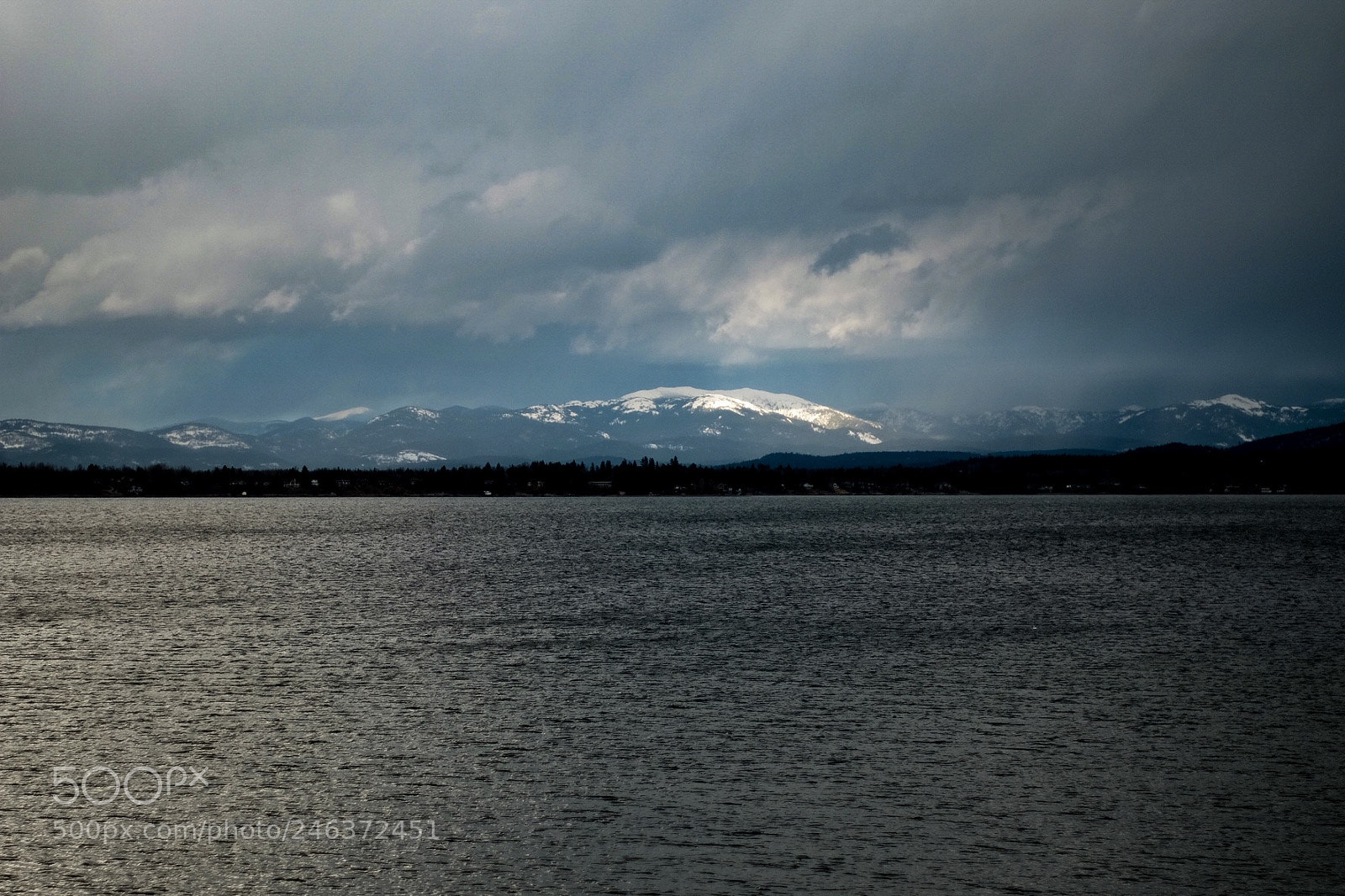 Fujifilm X-T10 sample photo. Untitled photography