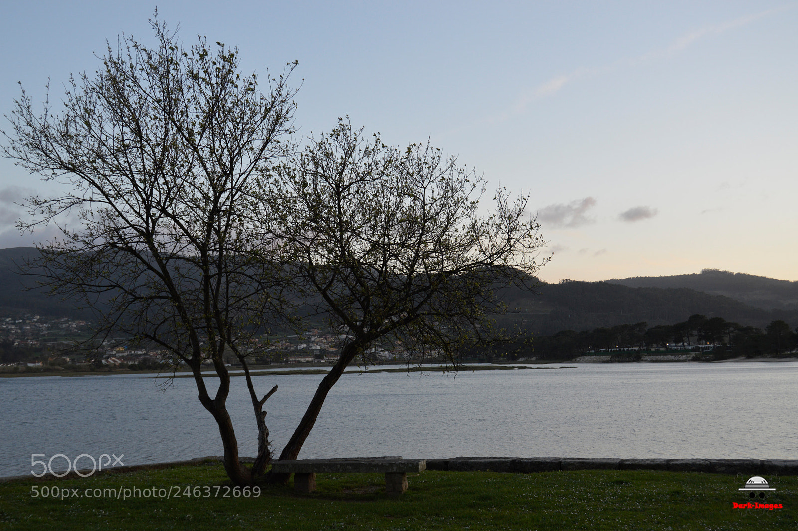 Nikon D3200 sample photo. Tree 1 photography