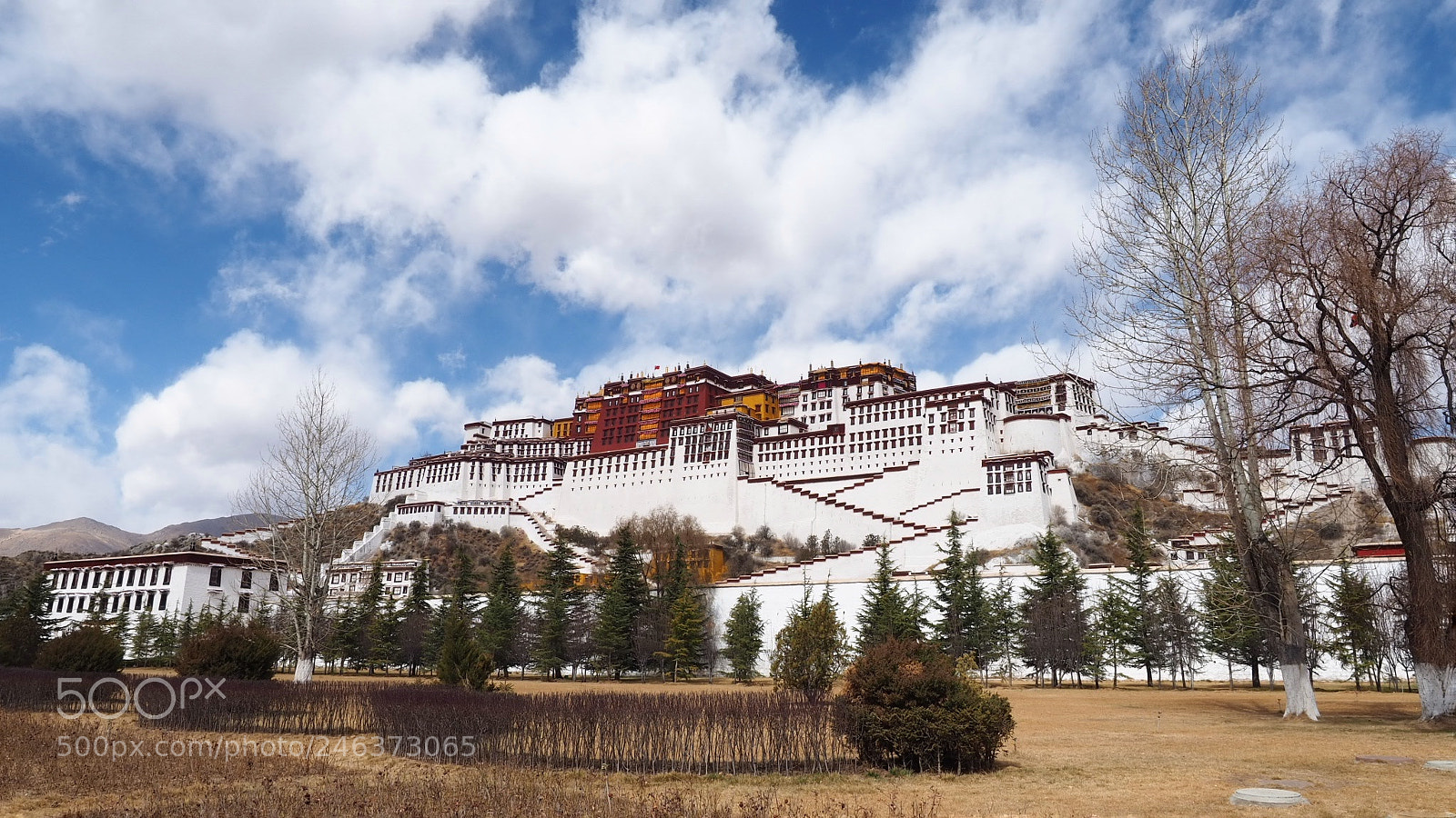 Olympus OM-D E-M10 III sample photo. Potala palace photography