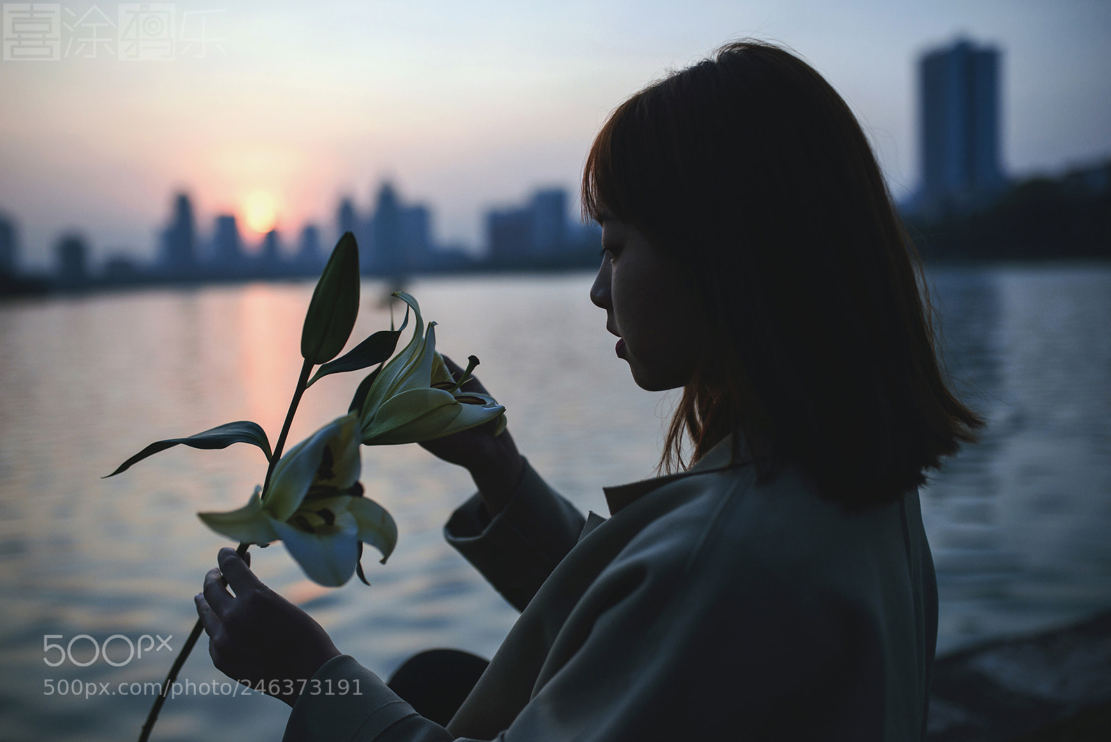 Nikon D810 sample photo. Untitled photography