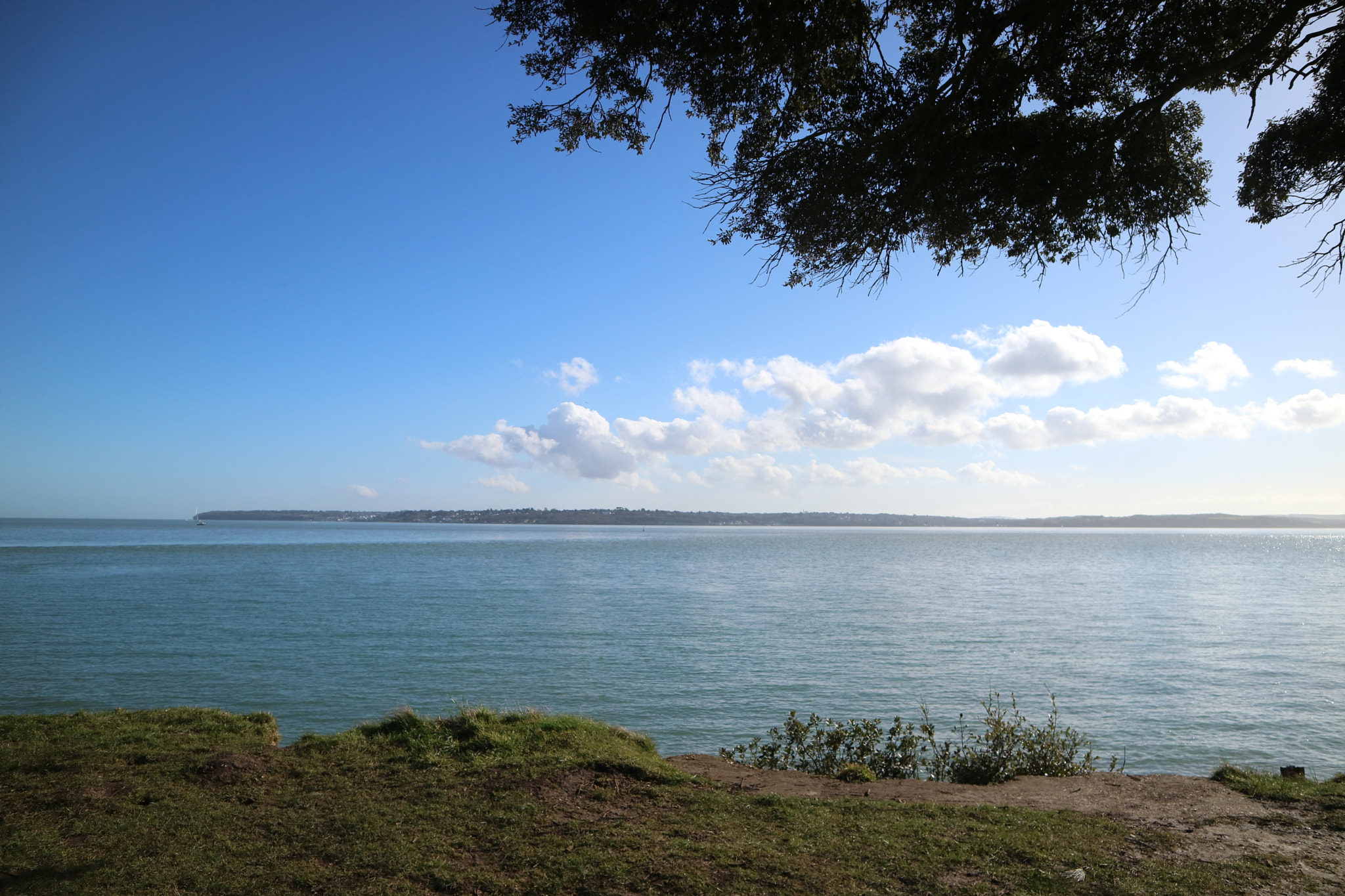 Canon EOS M3 sample photo. Cliff face with an overhanging tree photography