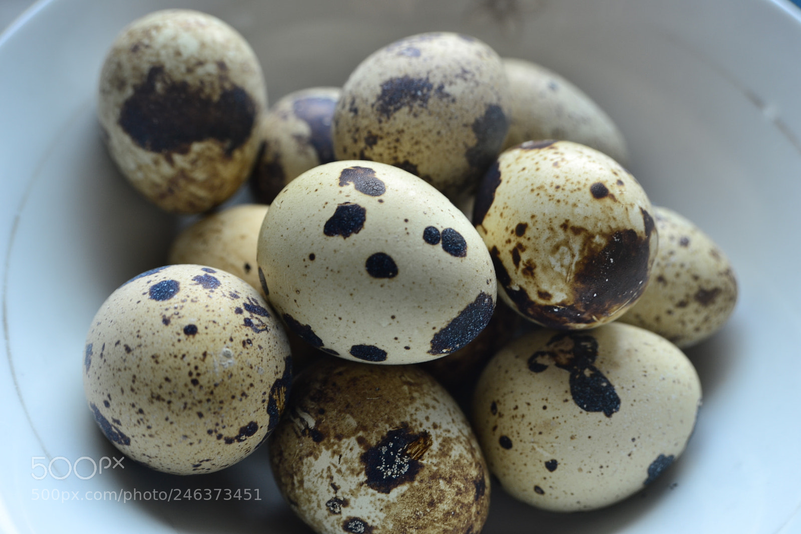 Nikon D3100 sample photo. Quail eggs for breakfast photography