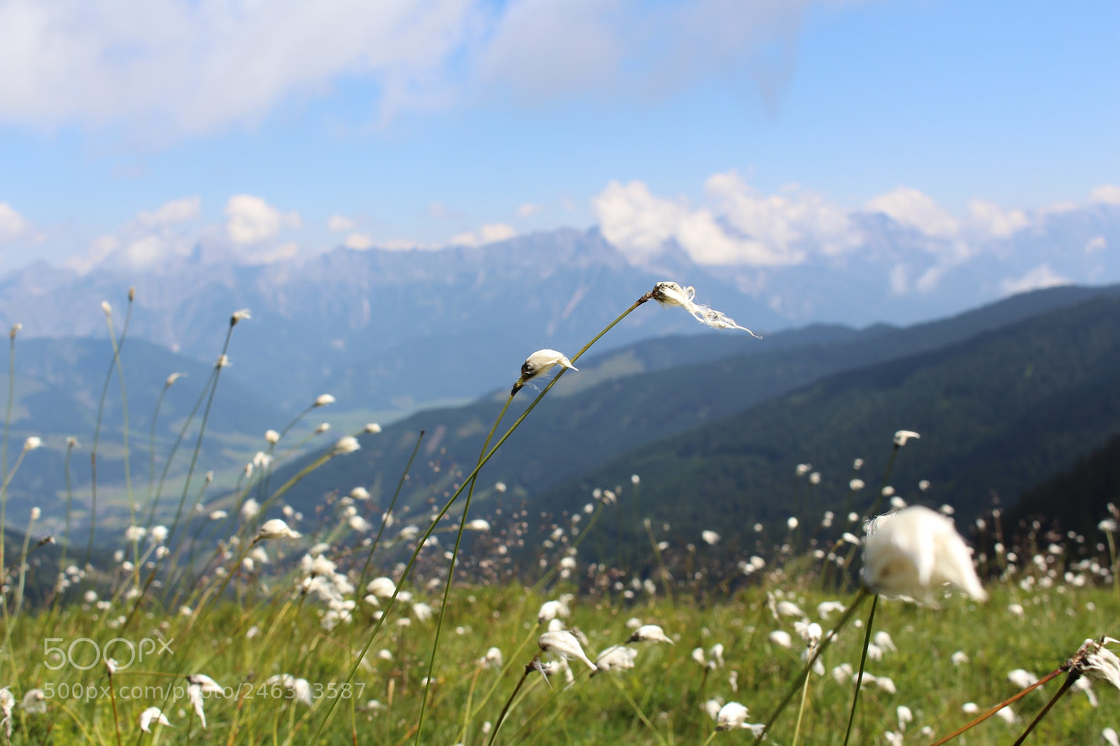 Canon EOS 700D (EOS Rebel T5i / EOS Kiss X7i) sample photo. ~nature~ photography