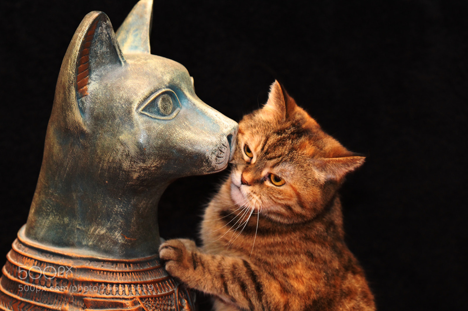 Canon EOS 700D (EOS Rebel T5i / EOS Kiss X7i) sample photo. Come play with me! photography