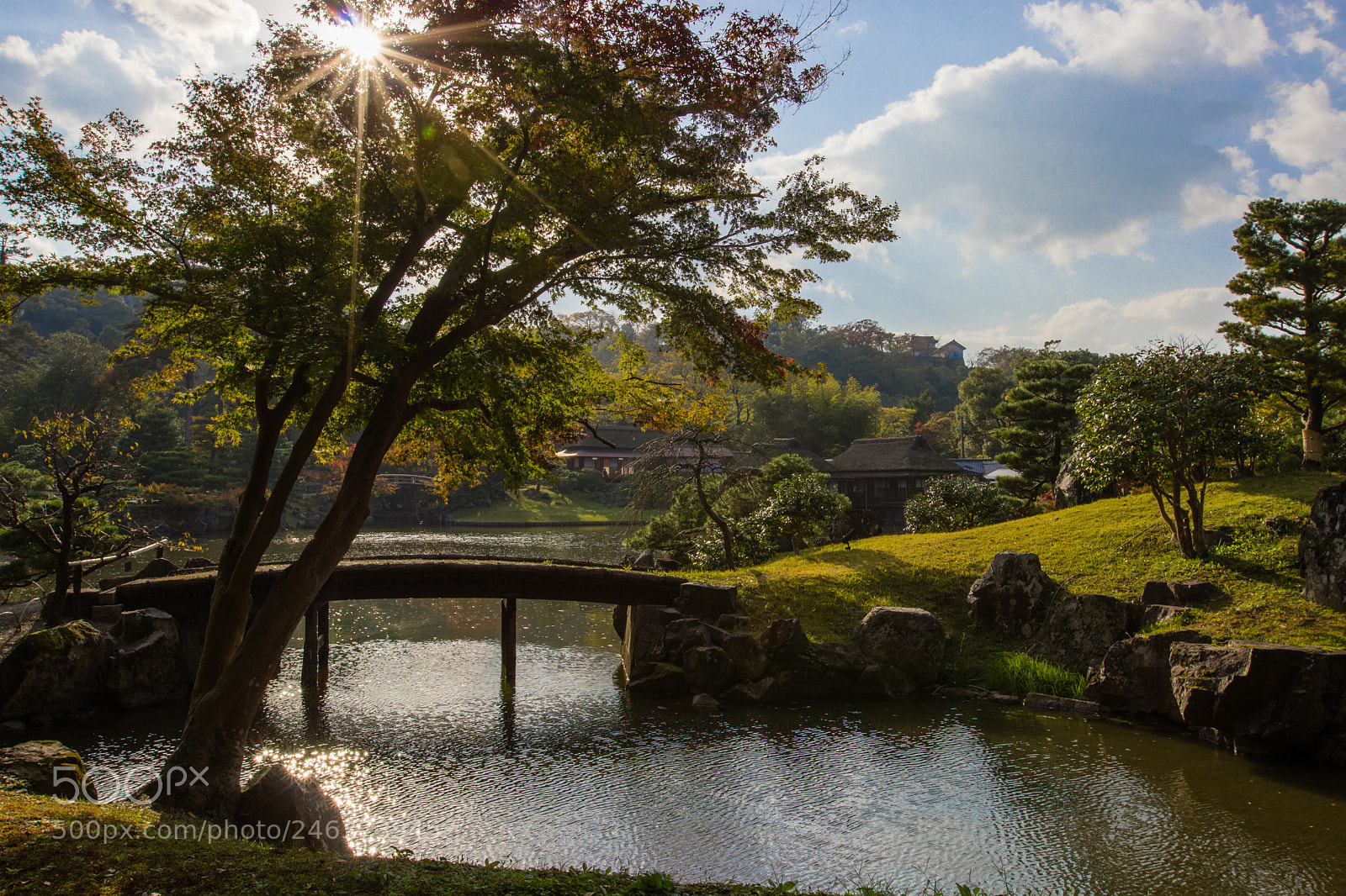 Canon EOS 600D (Rebel EOS T3i / EOS Kiss X5) sample photo. This is japan photography