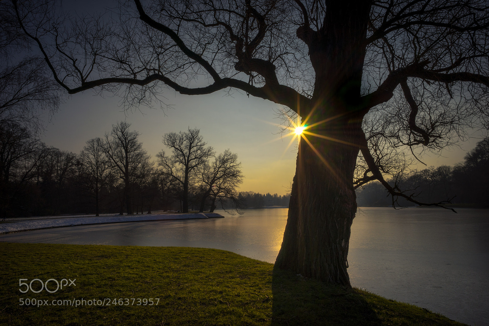 Sony a7 sample photo. Bright winter day photography