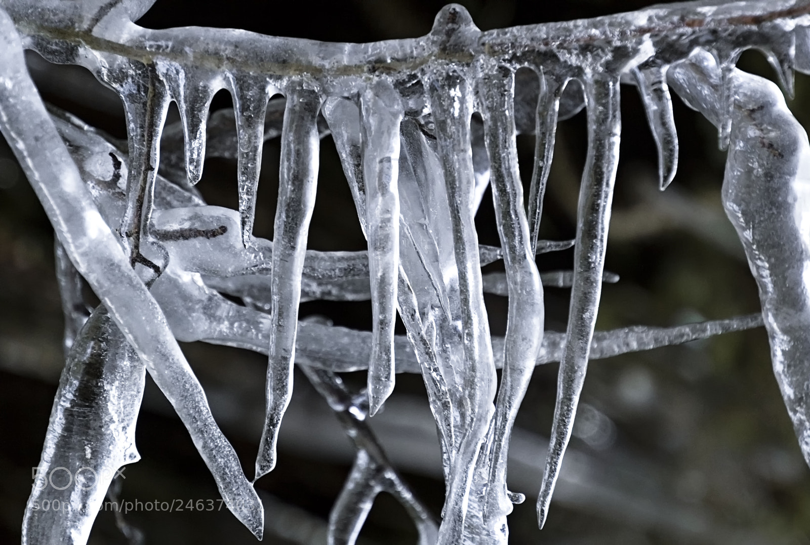 Canon EOS 100D (EOS Rebel SL1 / EOS Kiss X7) sample photo. Ice in winter... photography