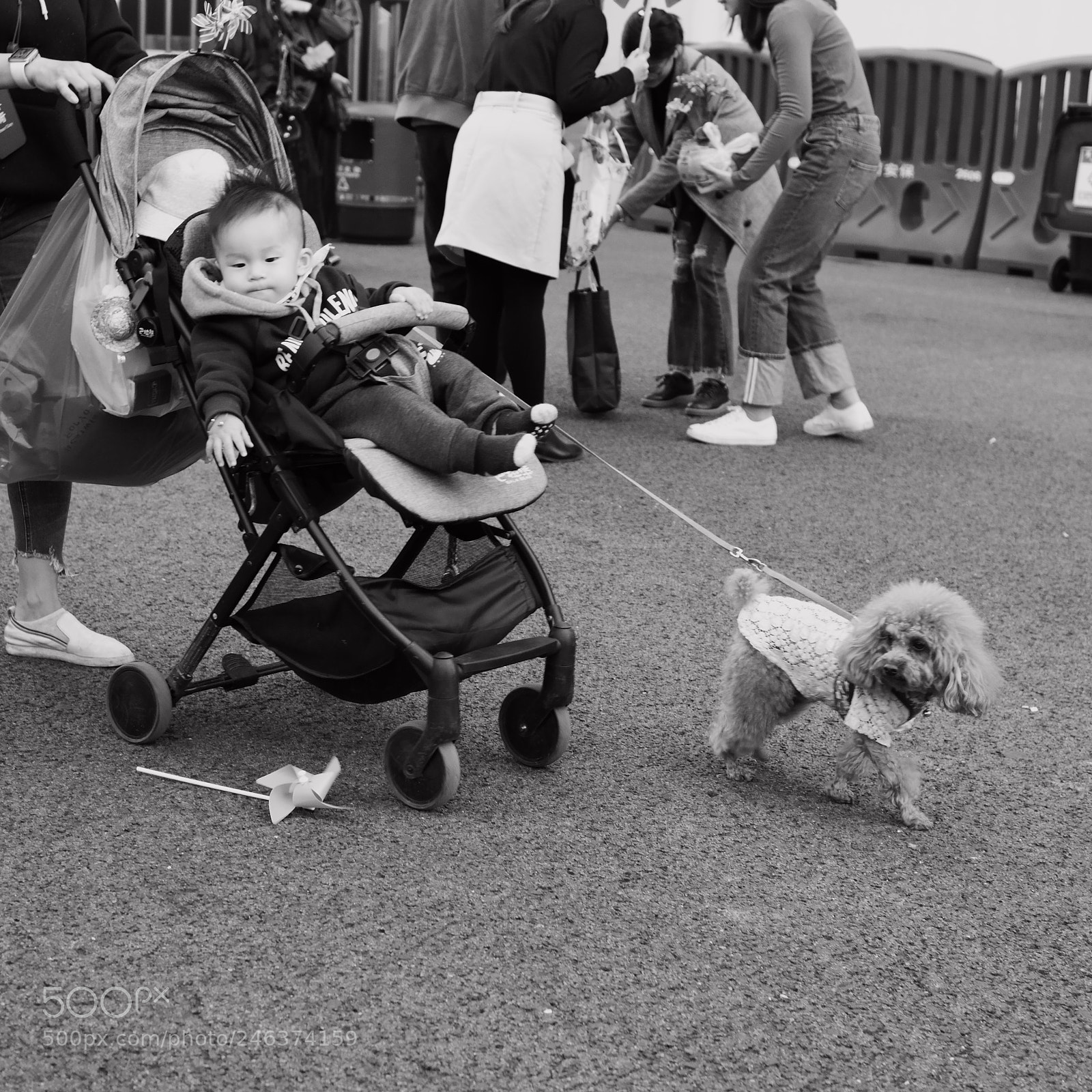Samsung NX300 sample photo. Untitled photography