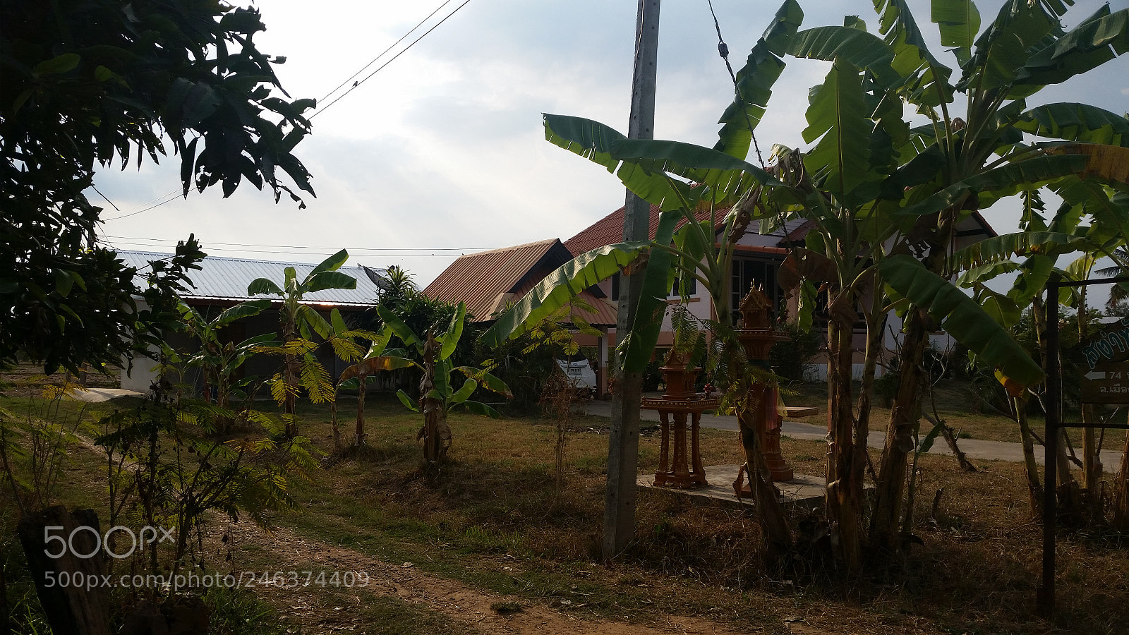 Samsung Galaxy S5 sample photo. 20160202_083052.jpg photography