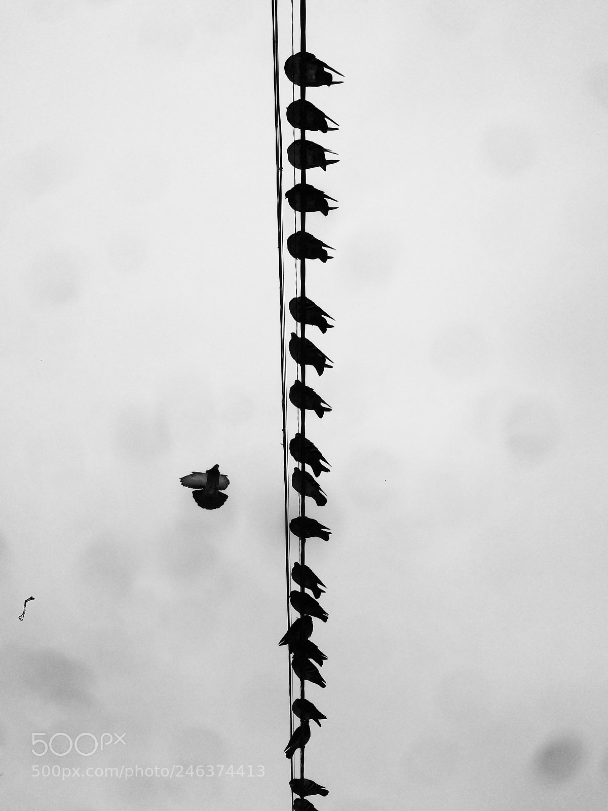 Apple iPhone 5s sample photo. Untitled photography