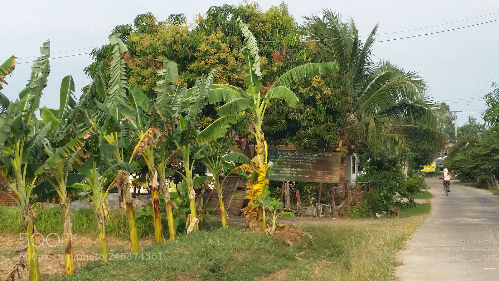 Samsung Galaxy S5 sample photo. 20160202_084750.jpg photography