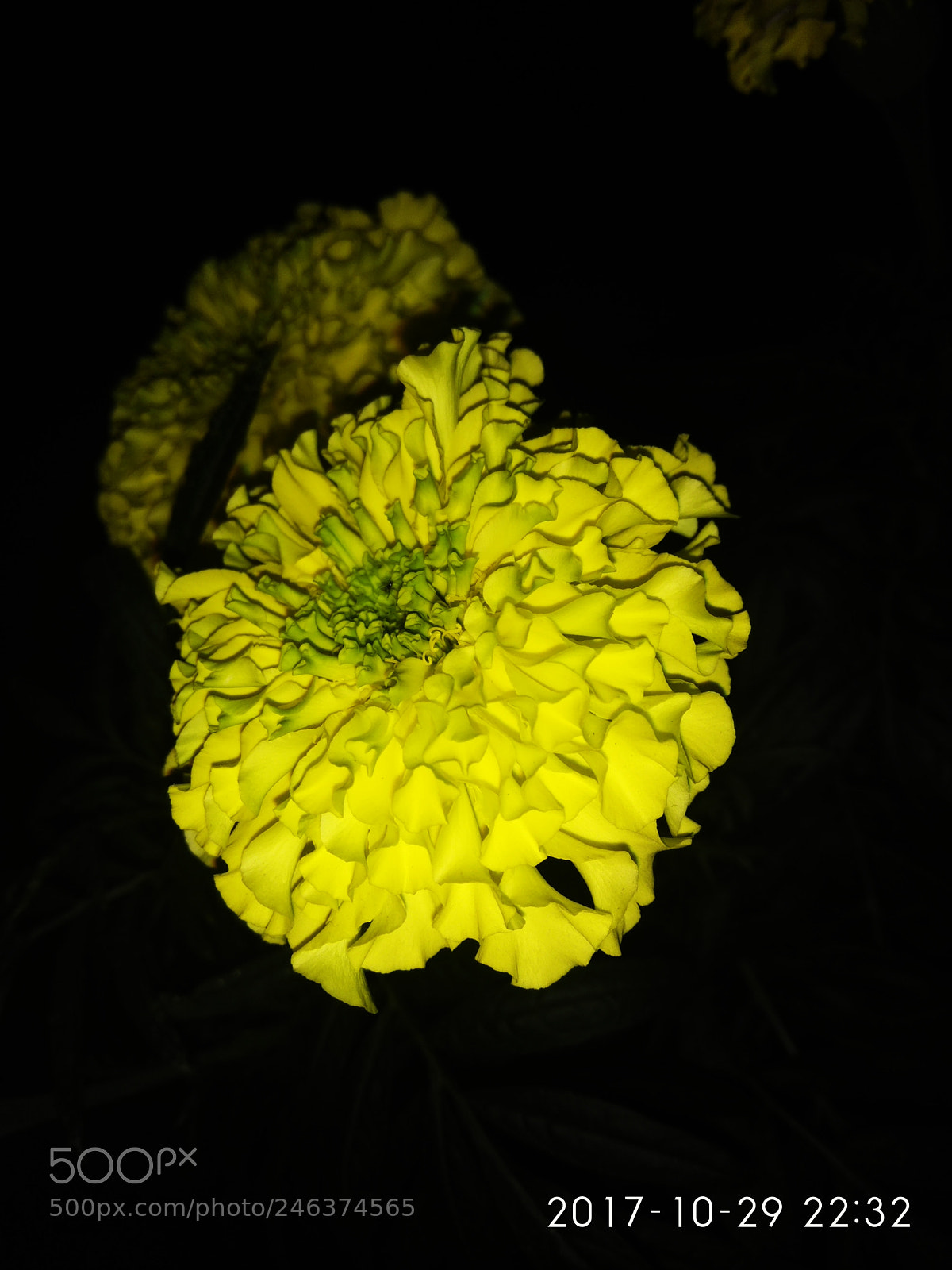 Xiaomi Redmi Note 4 sample photo. Untitled photography