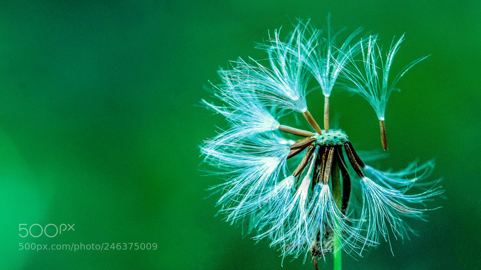 Canon EOS 77D (EOS 9000D / EOS 770D) sample photo. Untitled photography