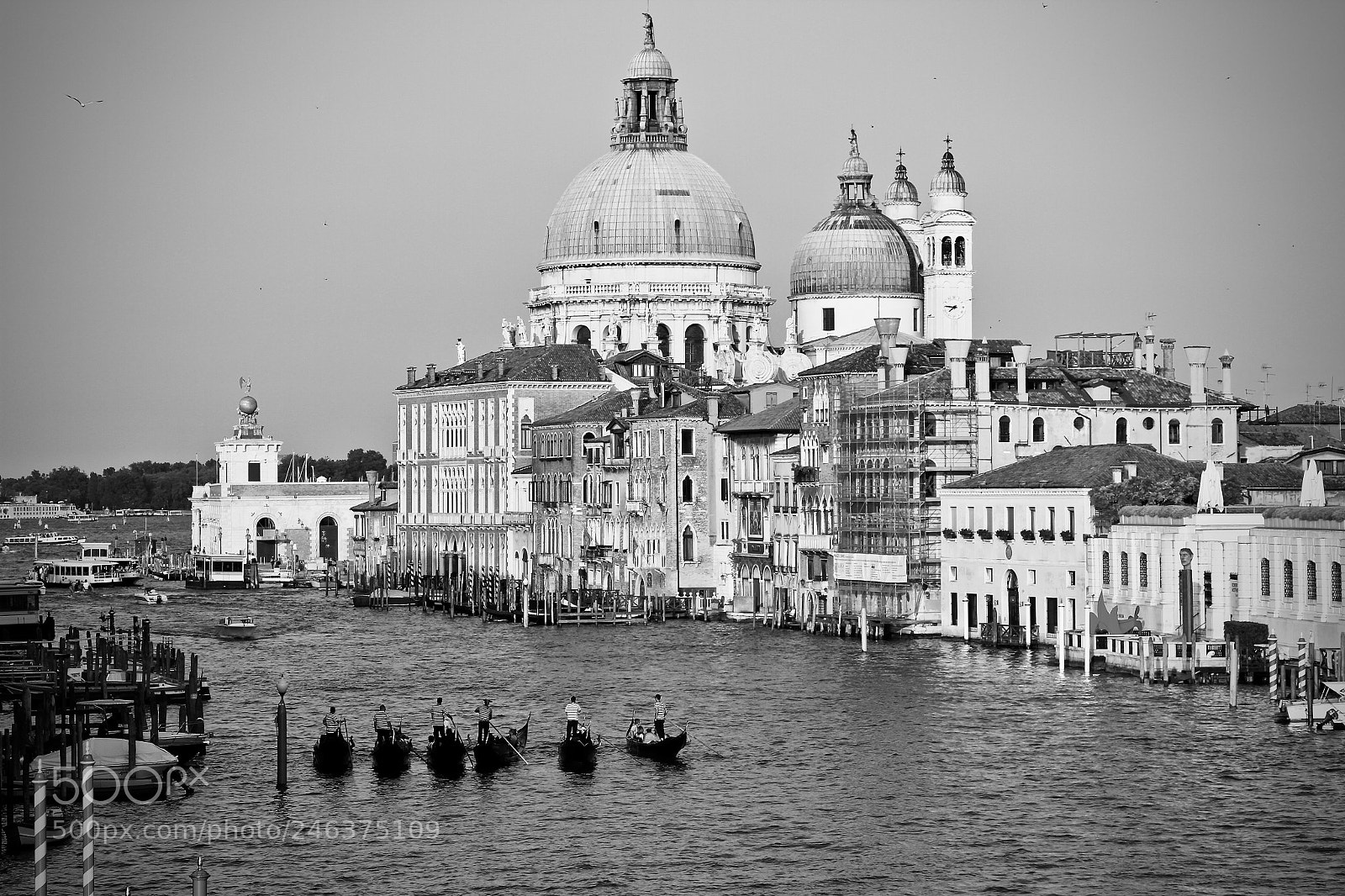 Canon EOS 7D sample photo. Santa maria della salute photography