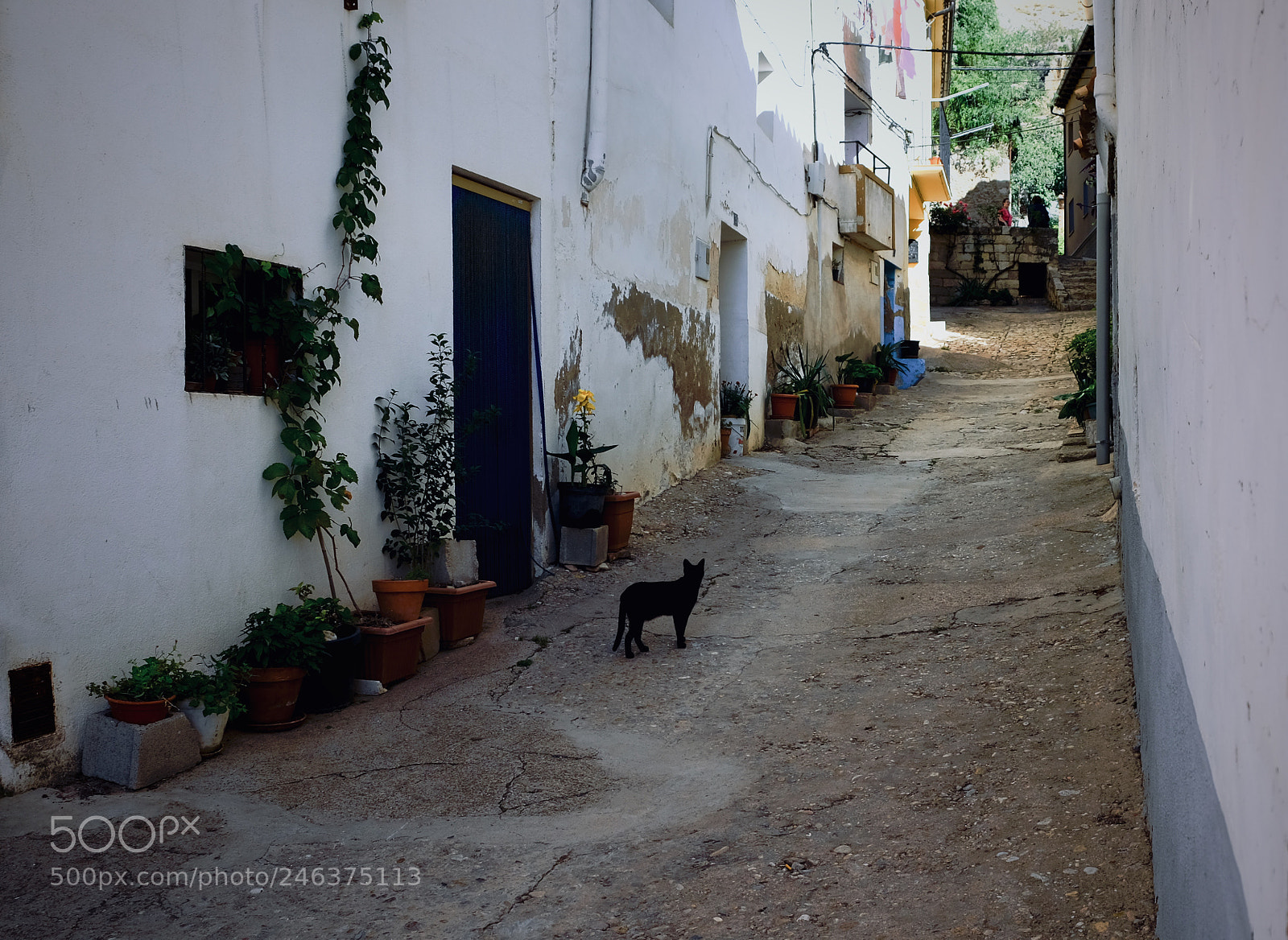 Fujifilm X-T20 sample photo. Fullsizeoutput b photography