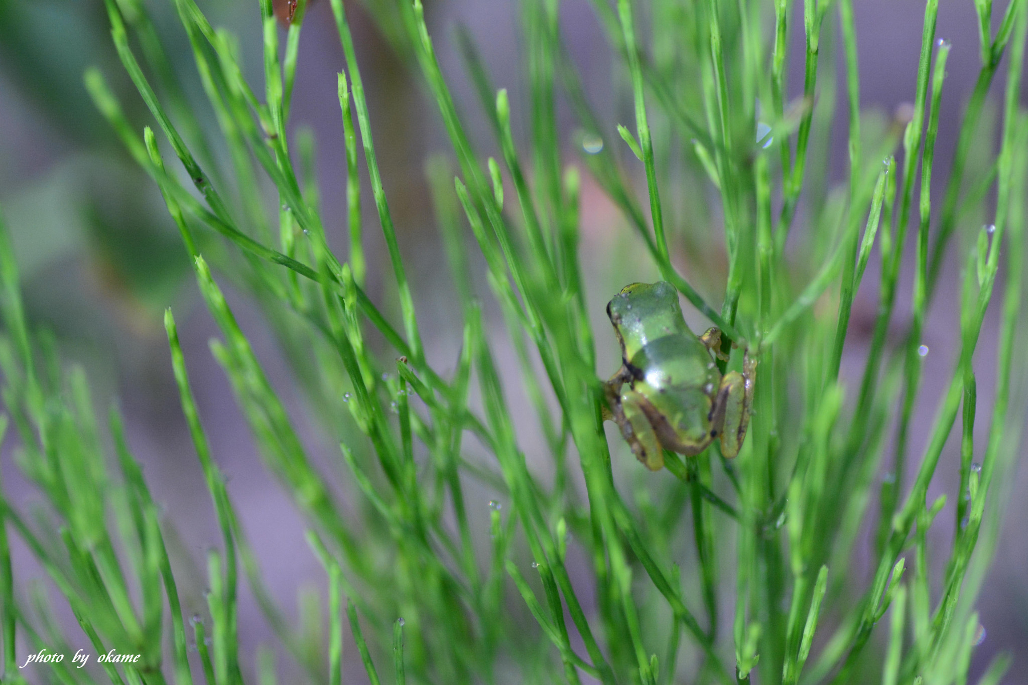 Nikon D5200 sample photo. (during a break) photography