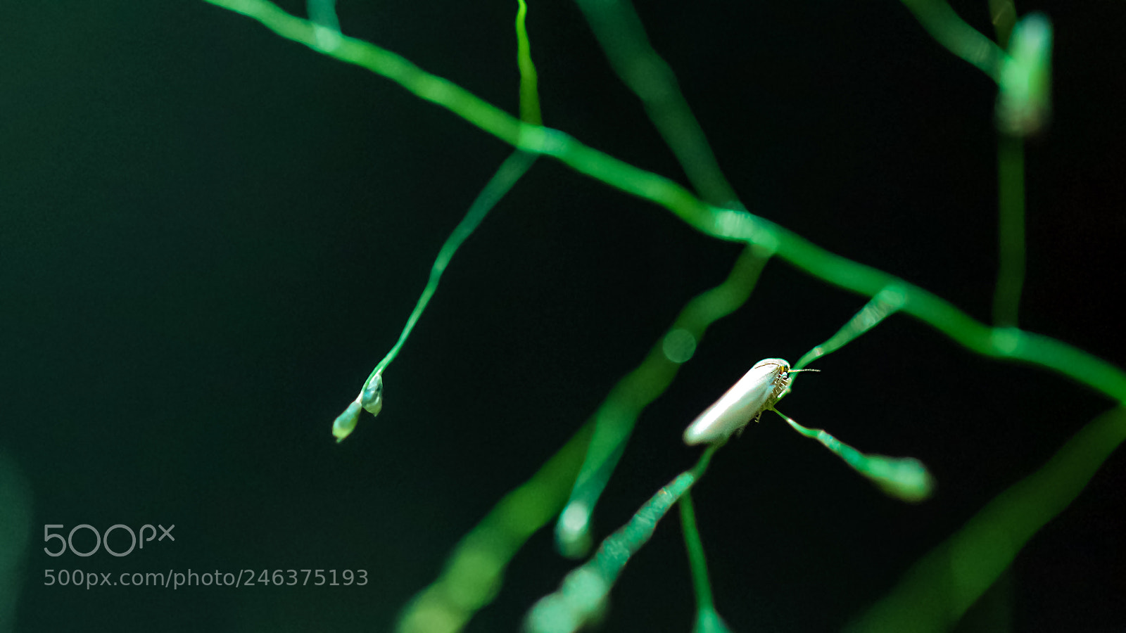 Canon EOS 77D (EOS 9000D / EOS 770D) sample photo. Untitled photography