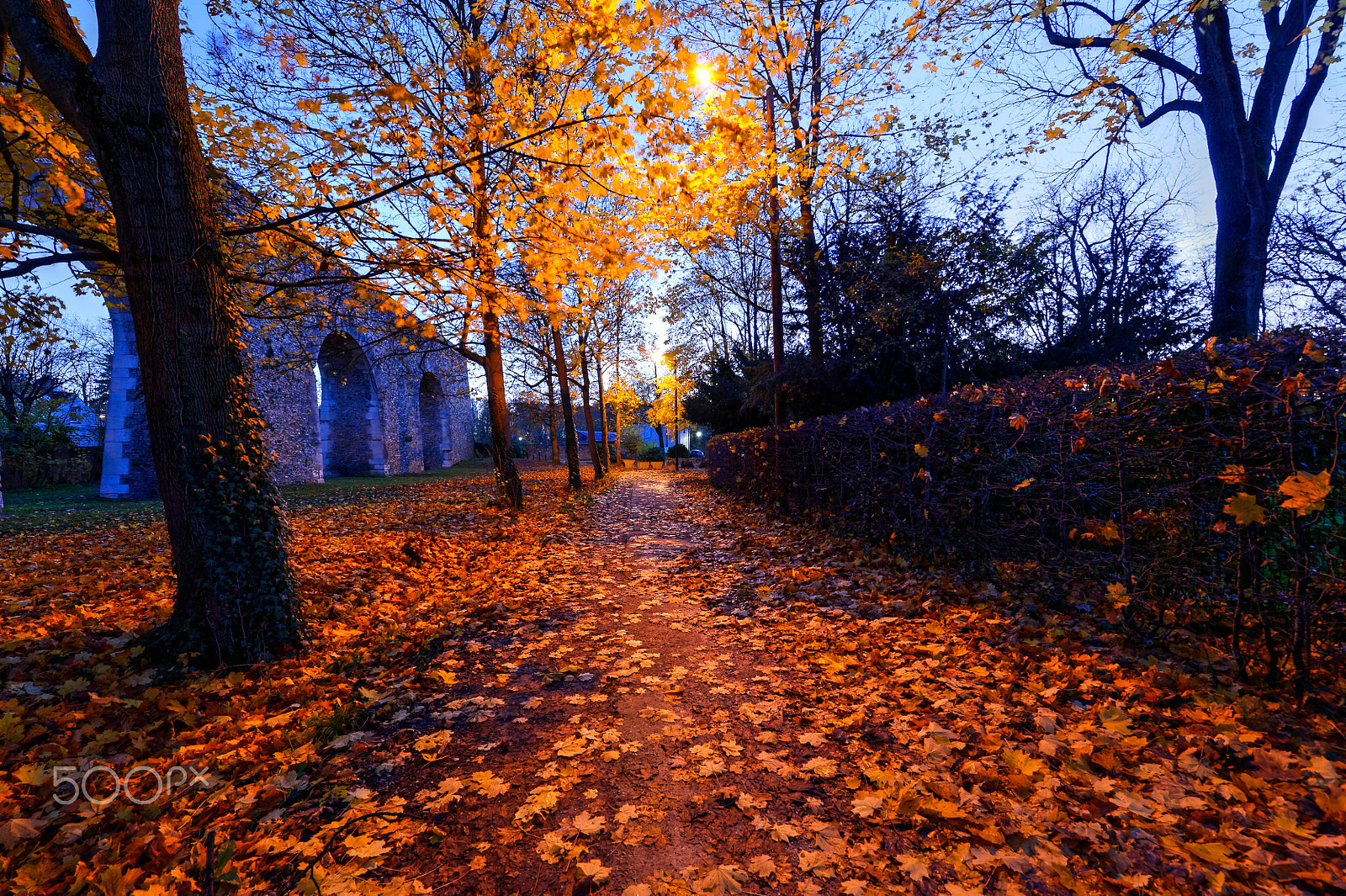 Nikon AF-S Nikkor 14-24mm F2.8G ED sample photo. Autumn reminiscence photography