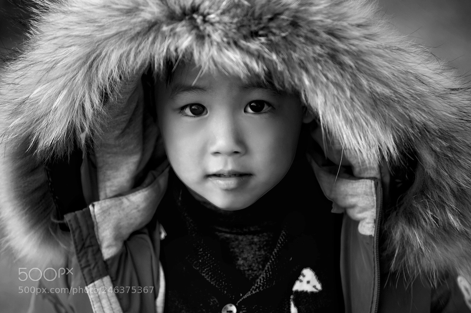 Sony a7 II sample photo. Untitled photography