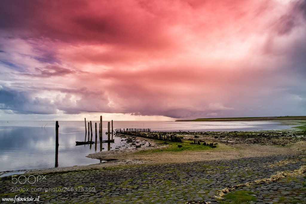 Canon EOS 7D sample photo. Texel de cocksdorp photography