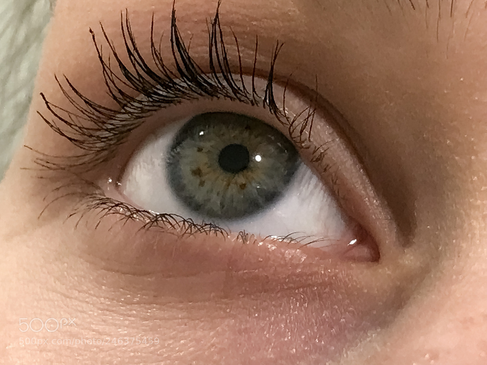 Apple iPhone 7 Plus sample photo. Untitled photography